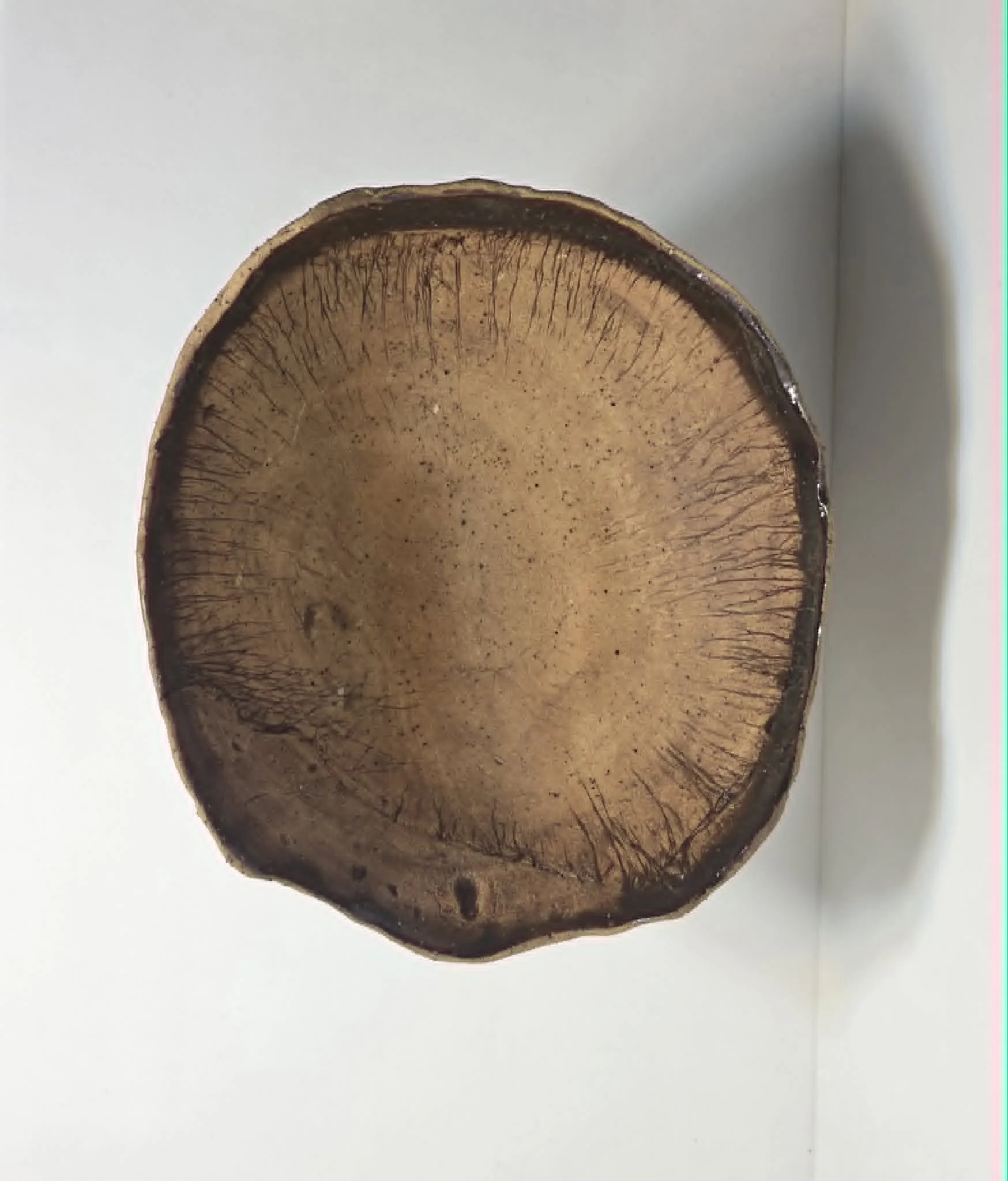 Round Pedistool Bowl - Coffee 3.jfif