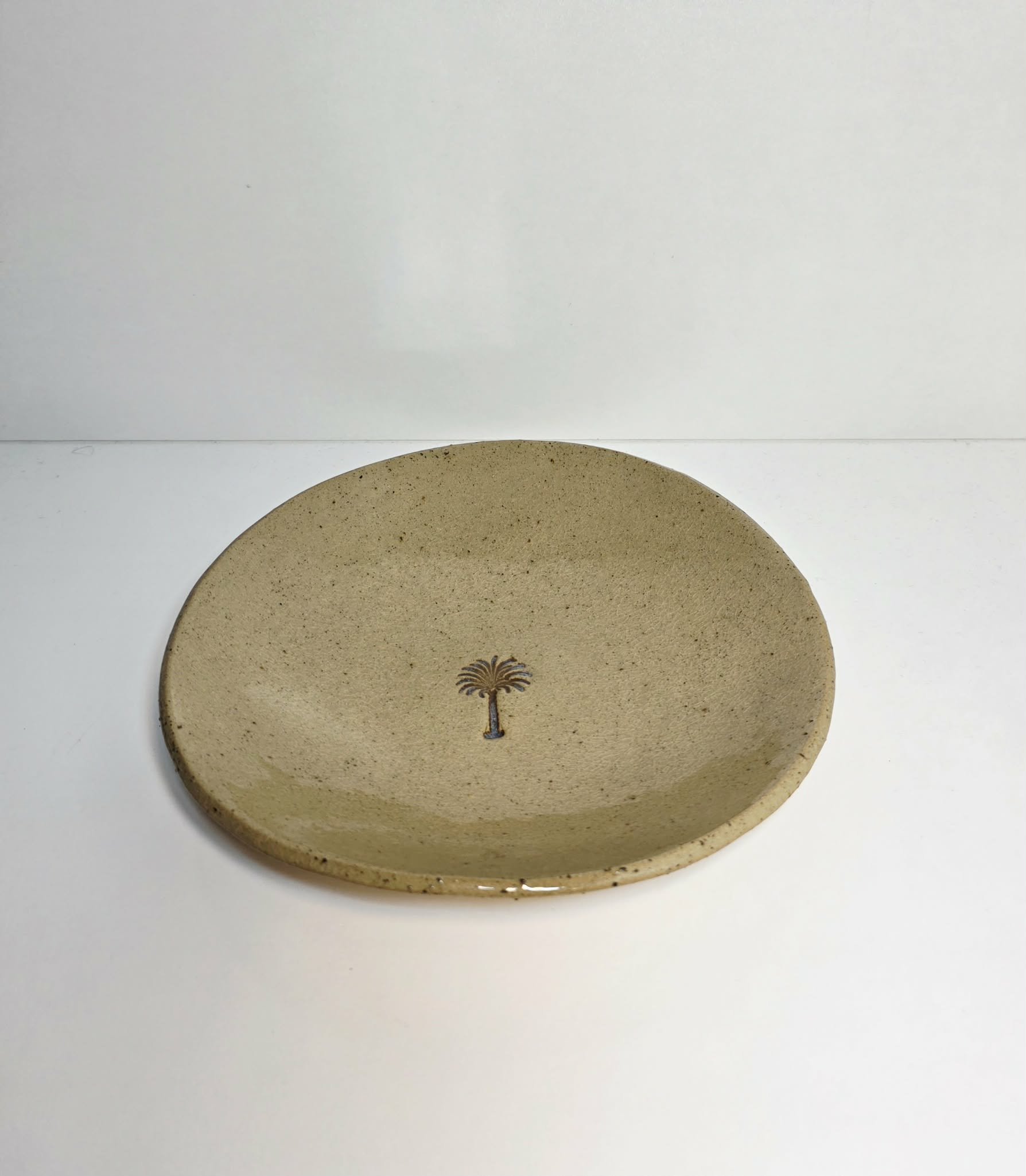 Shallow Palm Plate 2.jpeg