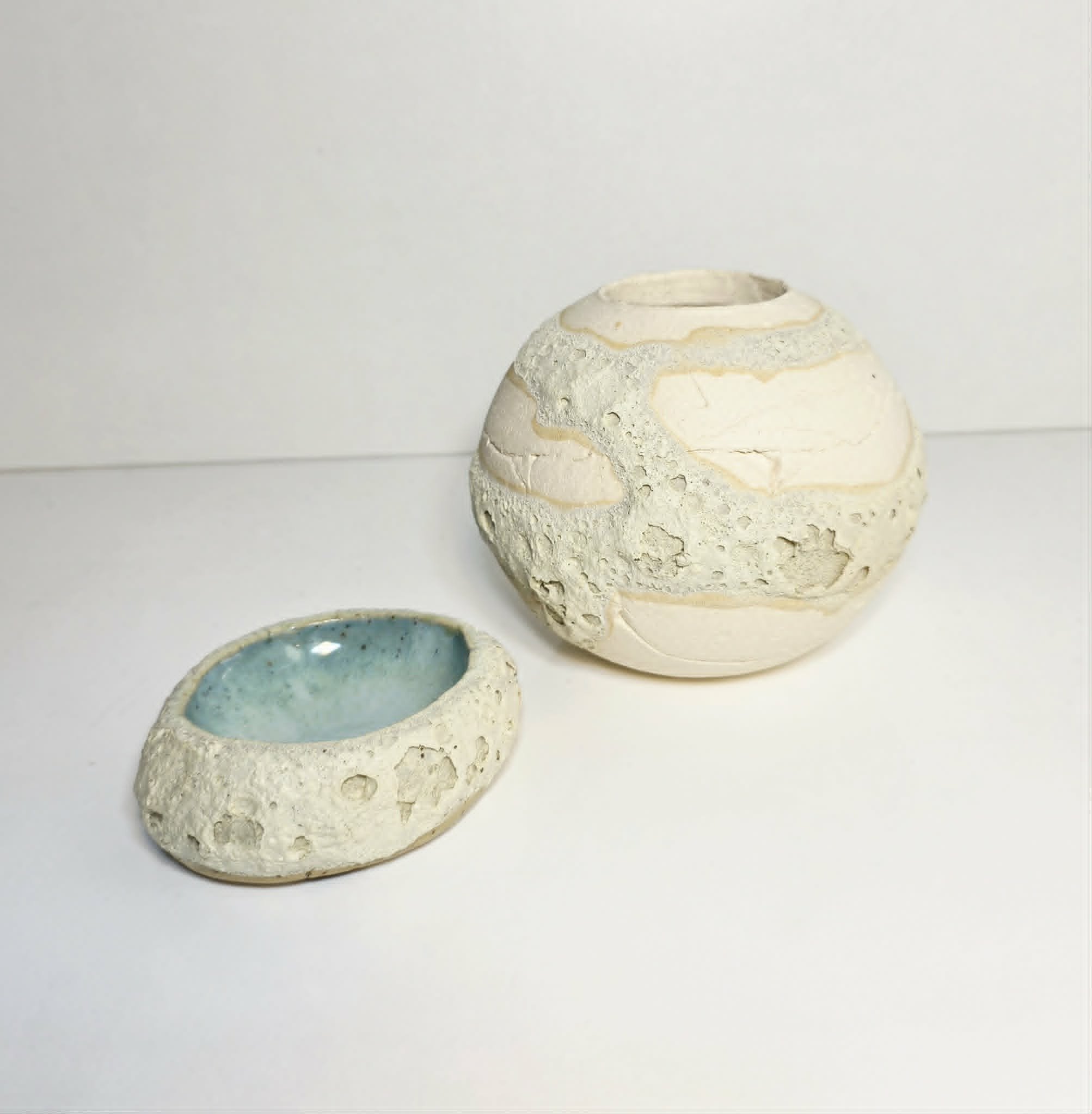 Barnacle dish.jfif