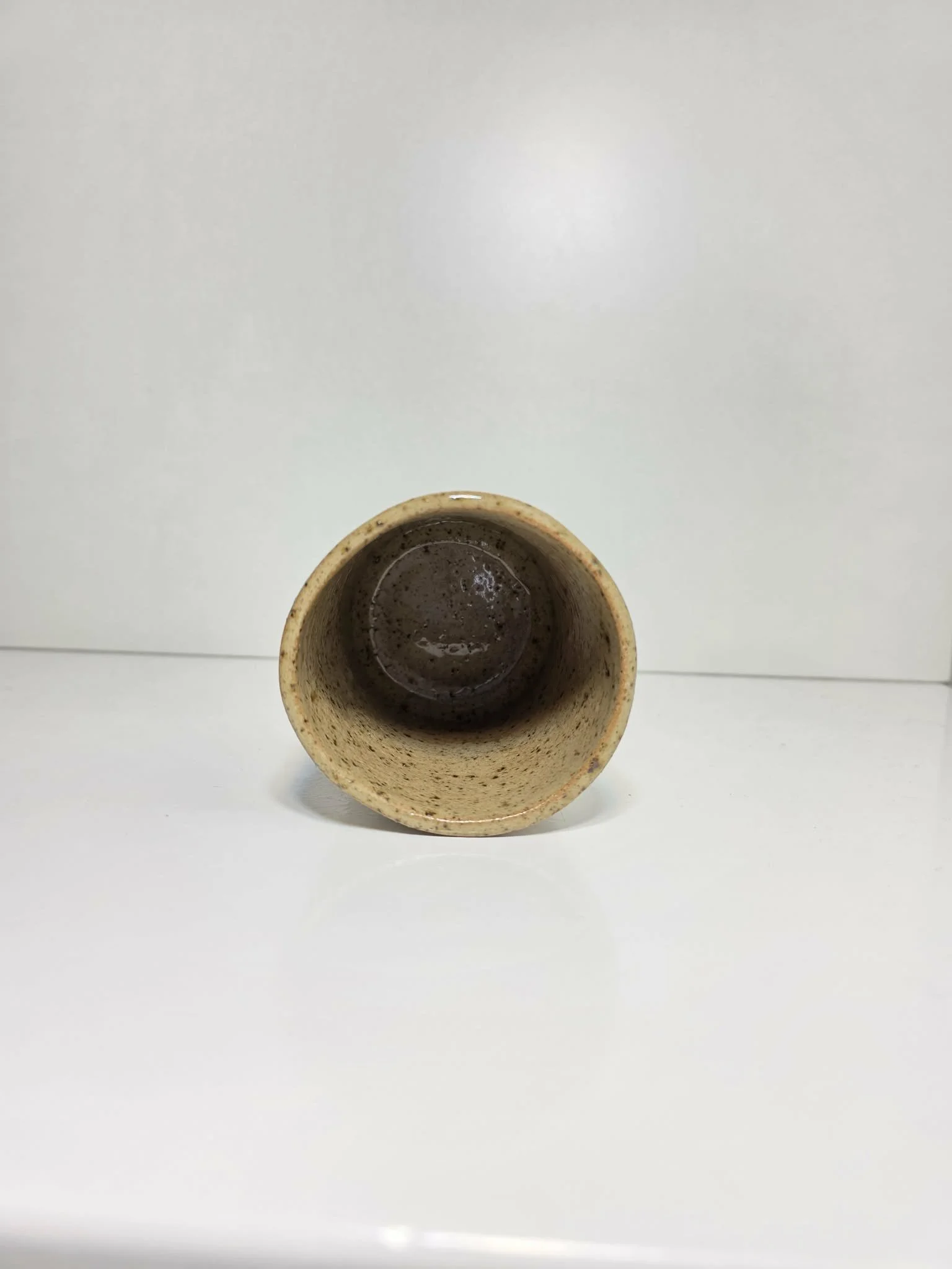 Palm Tumbler Small Gloss inner.jpeg