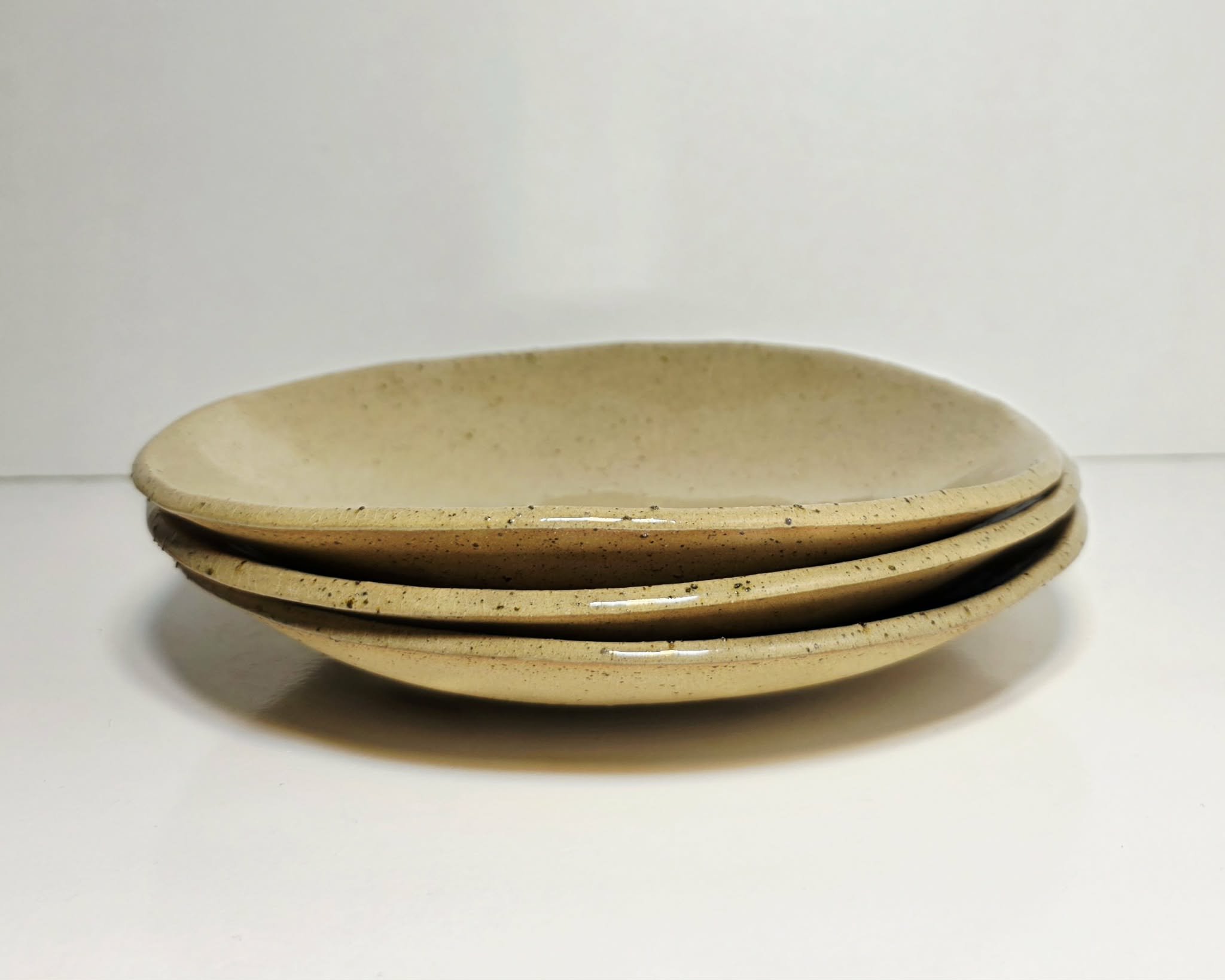 Shallow Palm Plate.jpeg