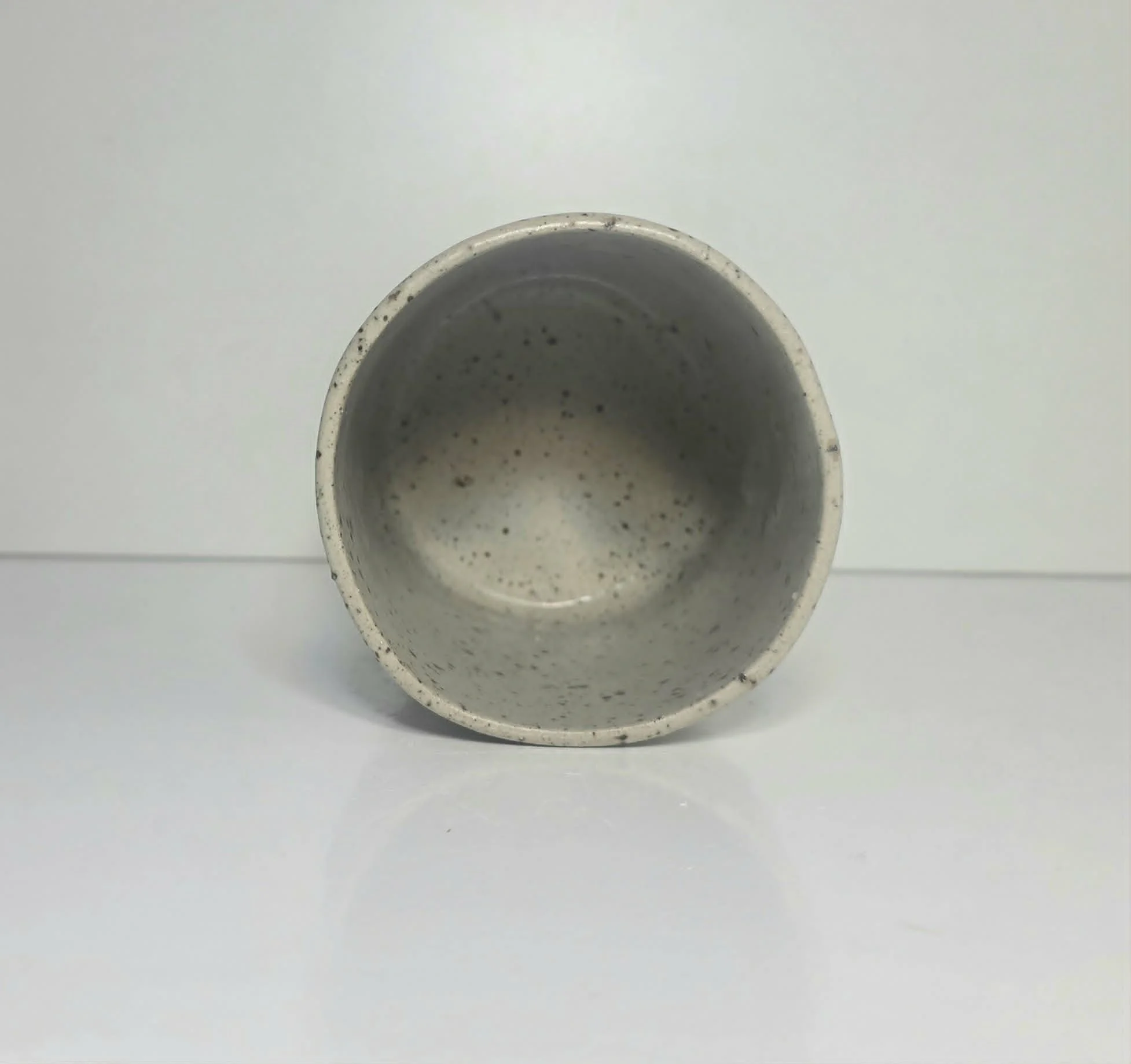 Large Palm Matte Tumbler inner.jpeg