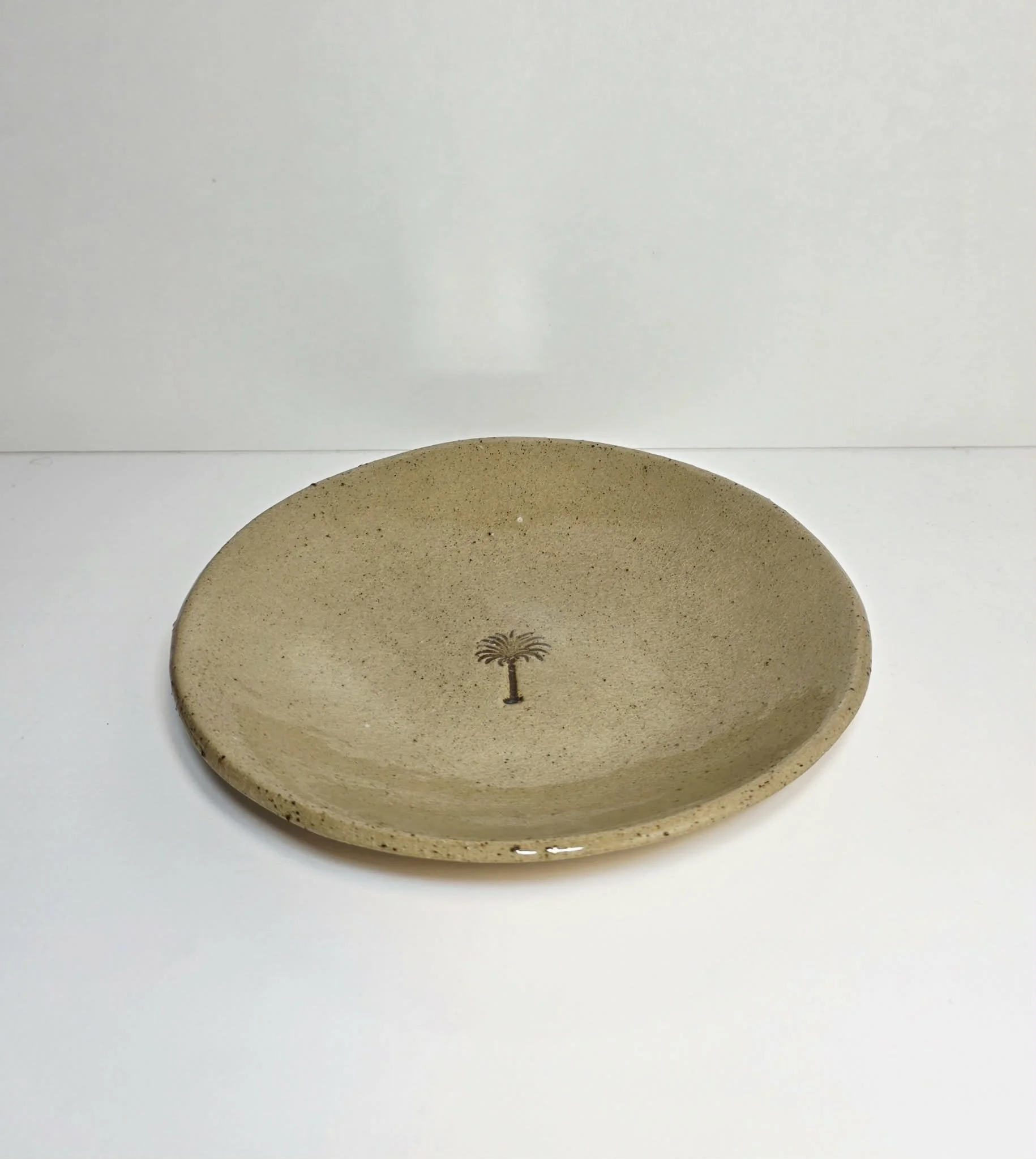 Shallow Palm Plate 3.jpeg