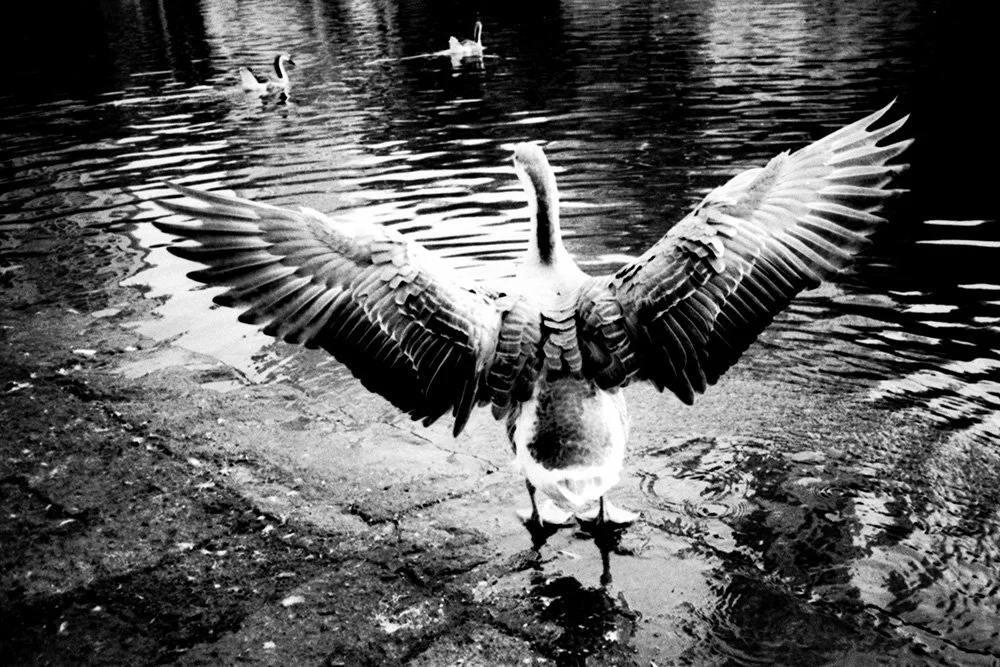 kaushal-parikh-art-black-and-white-photography-fragments-of-a-spinning-rock-00018.jpg