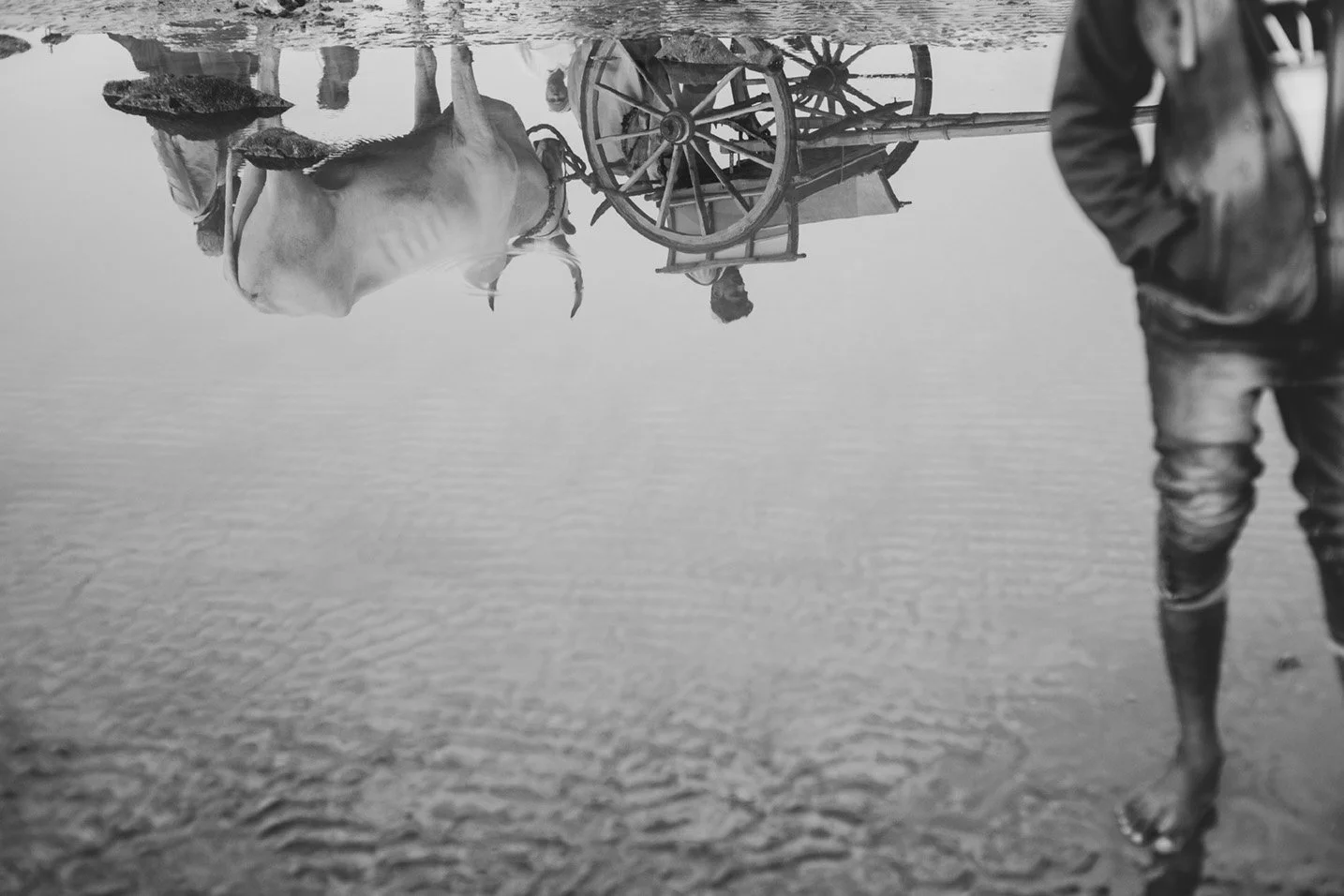 Photo Code: BWM-0017