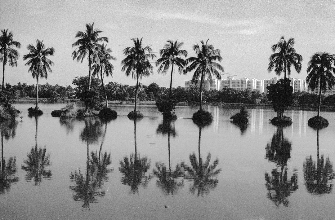 Kolkata -               Tale Of Two Cites
