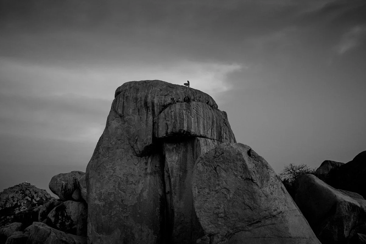 Photo Code: BWFA-0021