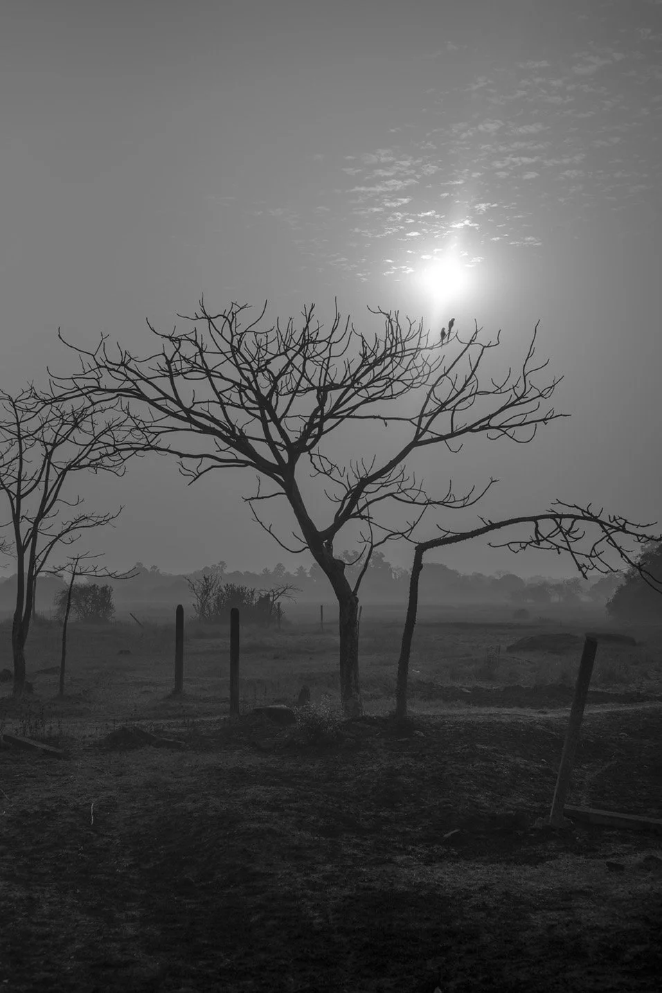 Photo Code: BWFA-0027