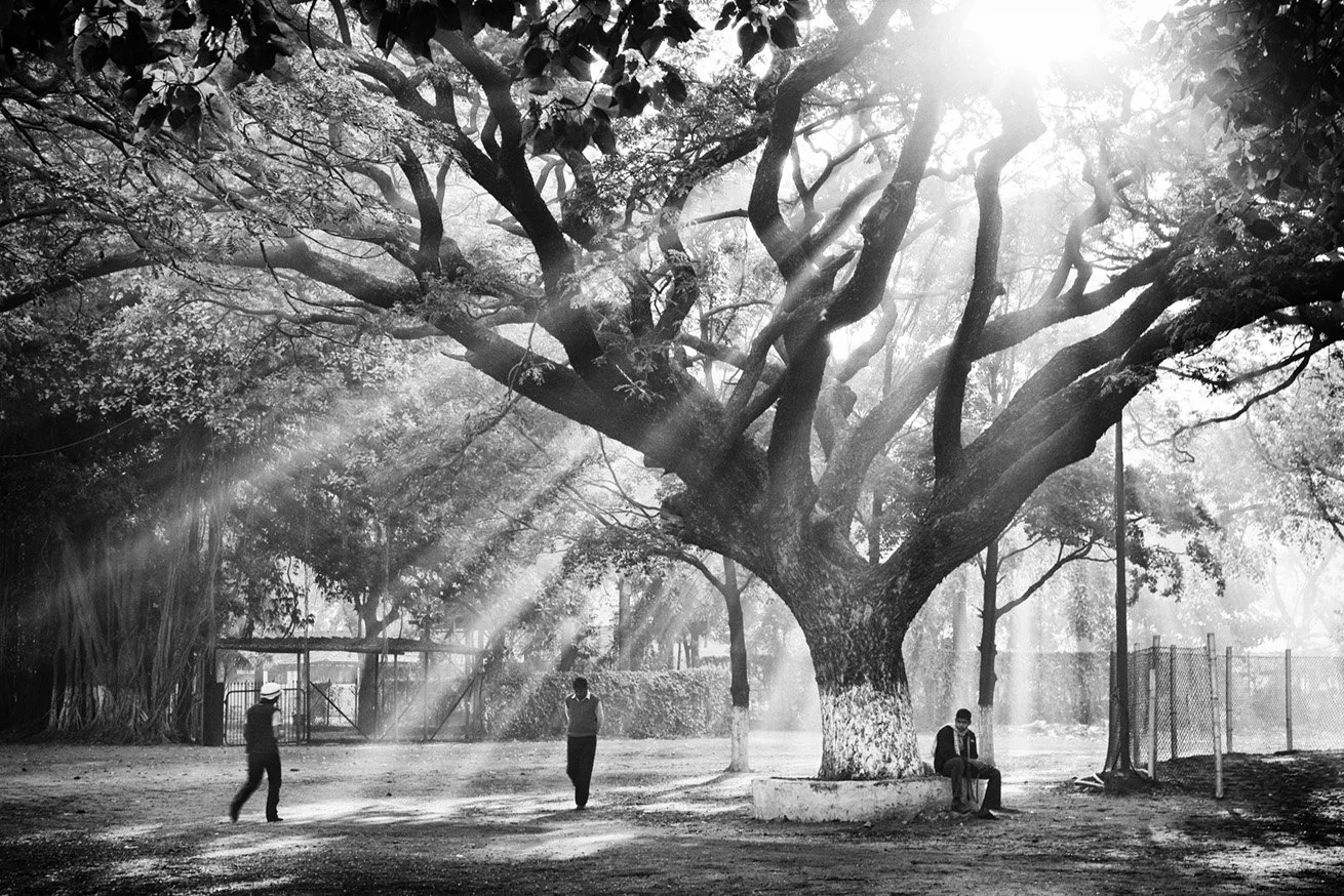 Photo Code: BWFA-0032