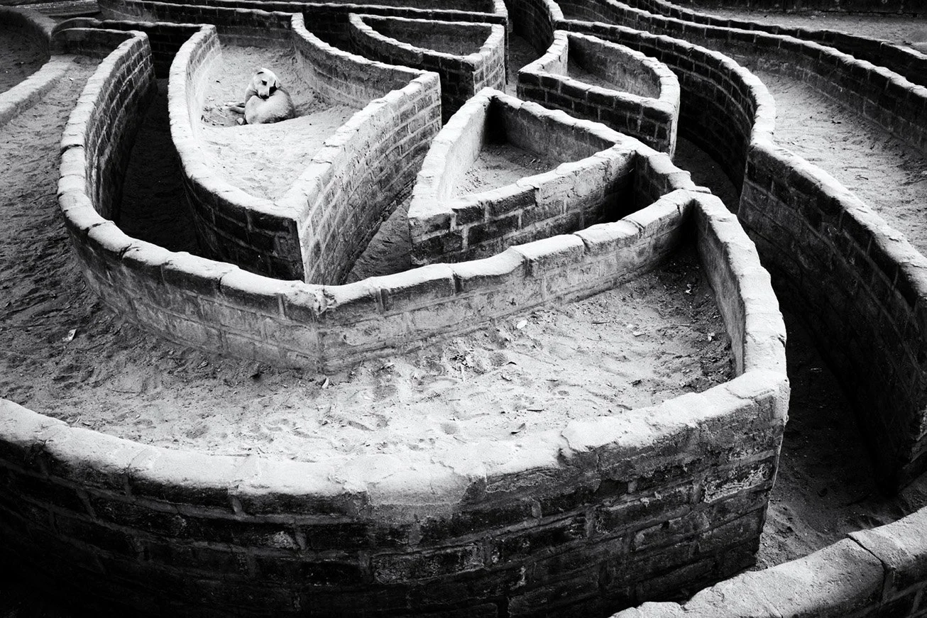 Photo Code: BWFA-0007
