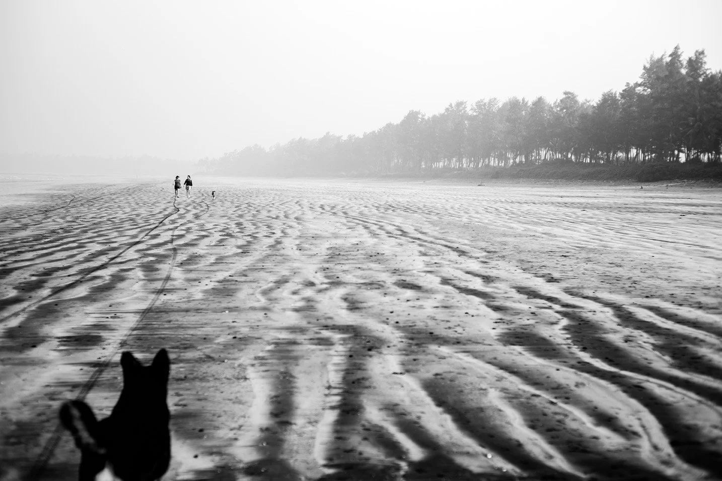 Photo Code: BWFA-0013