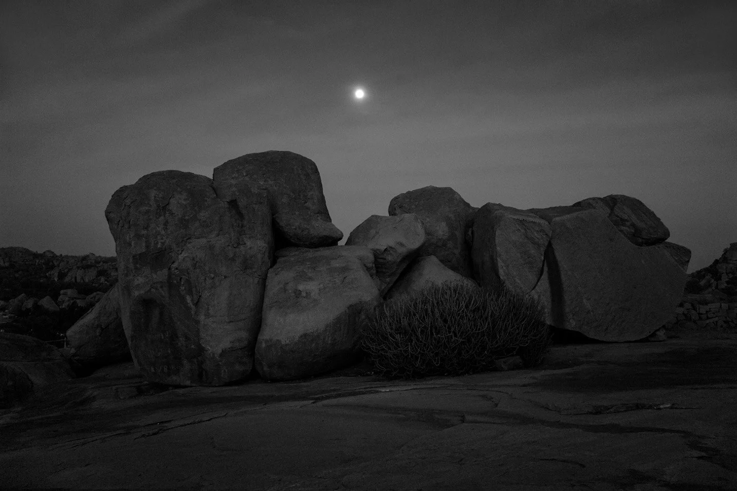 Photo Code: BWFA-0005