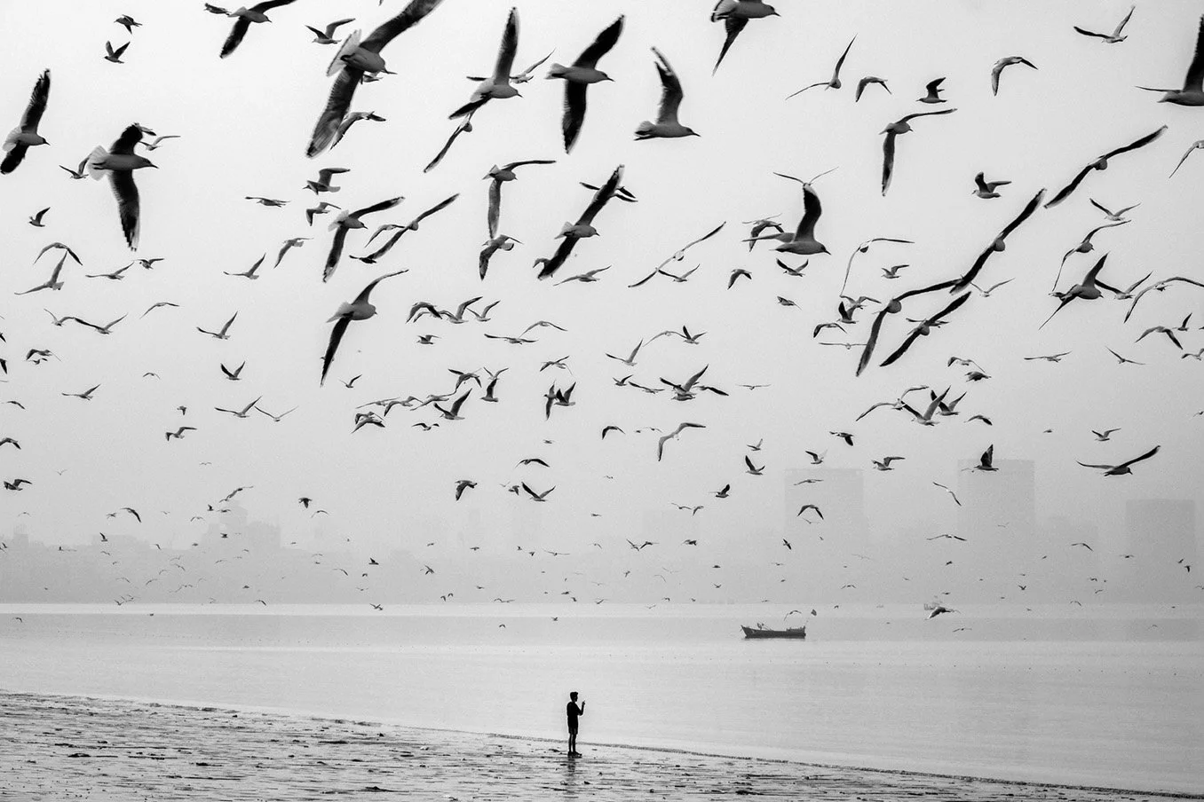 Photo Code: BWFA-0023
