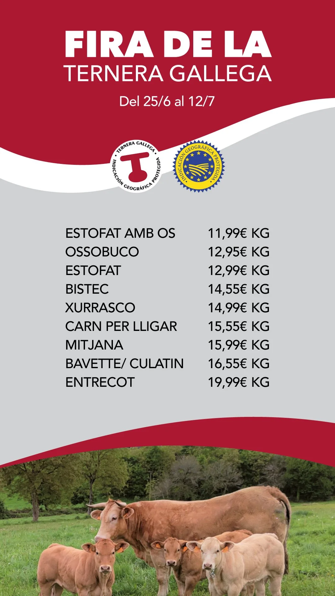 Banner-Mobile_Ternera-Gallega-web-nueva.jpg
