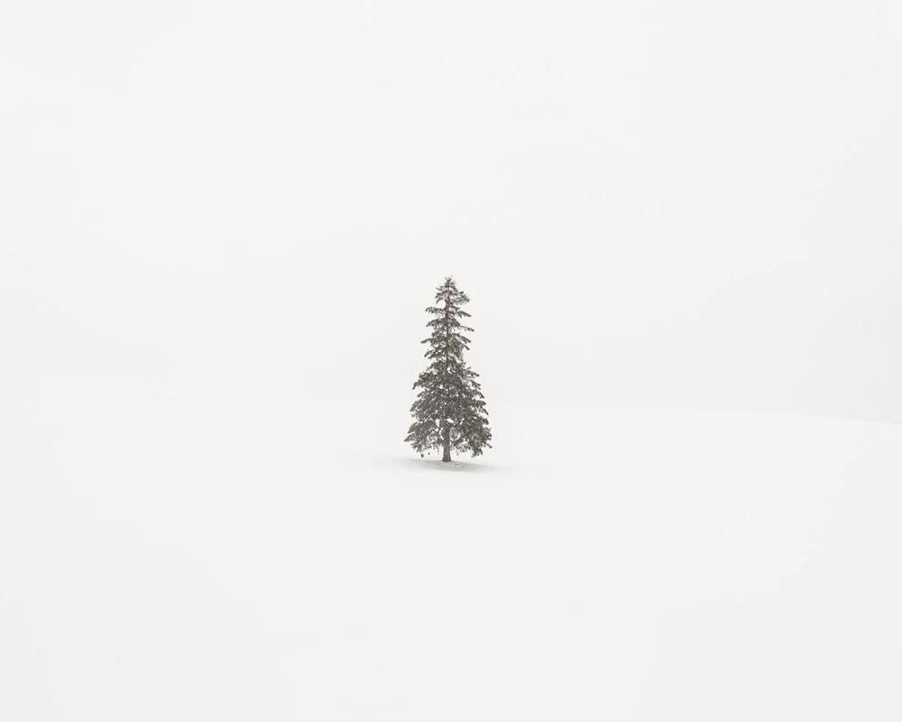 2023 - Christmas Tree.jpg