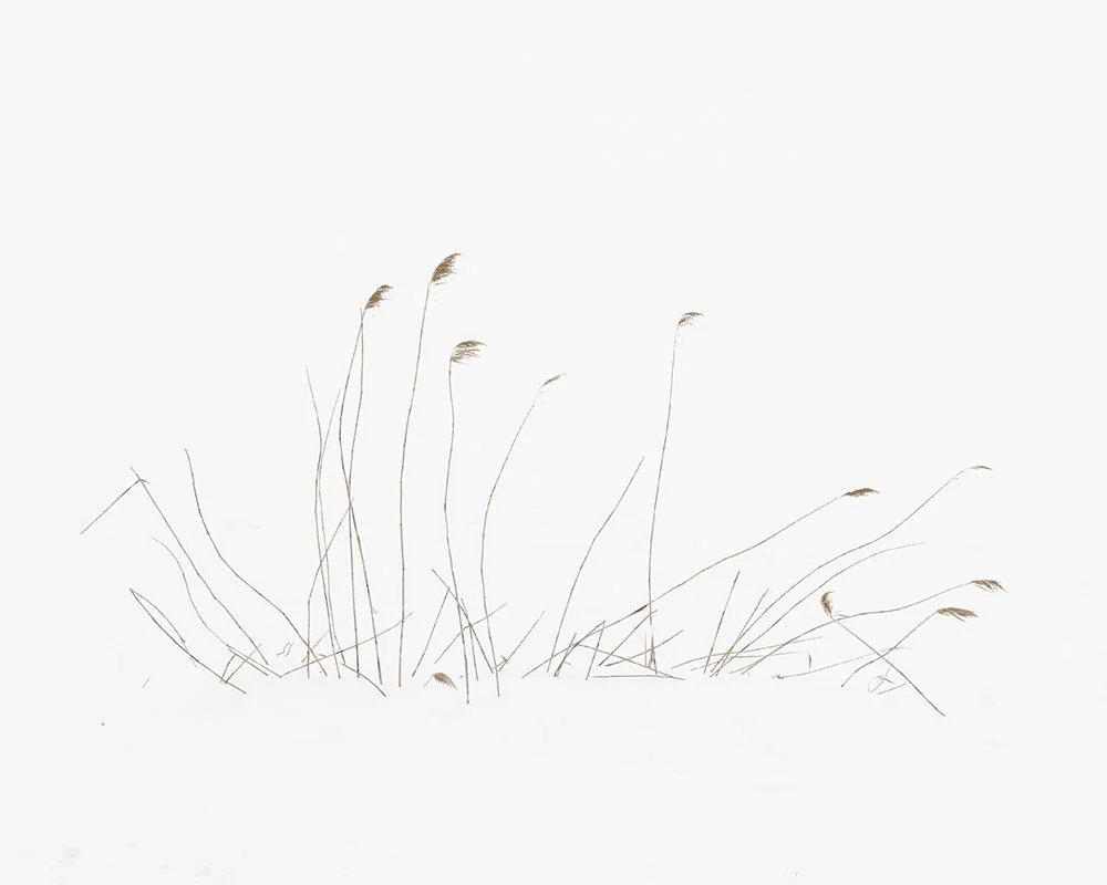 2025 - Calligraphy XXV.jpg