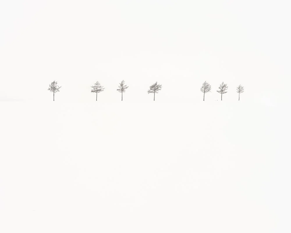 2025 - Homage to Akira Kurosawa.jpg