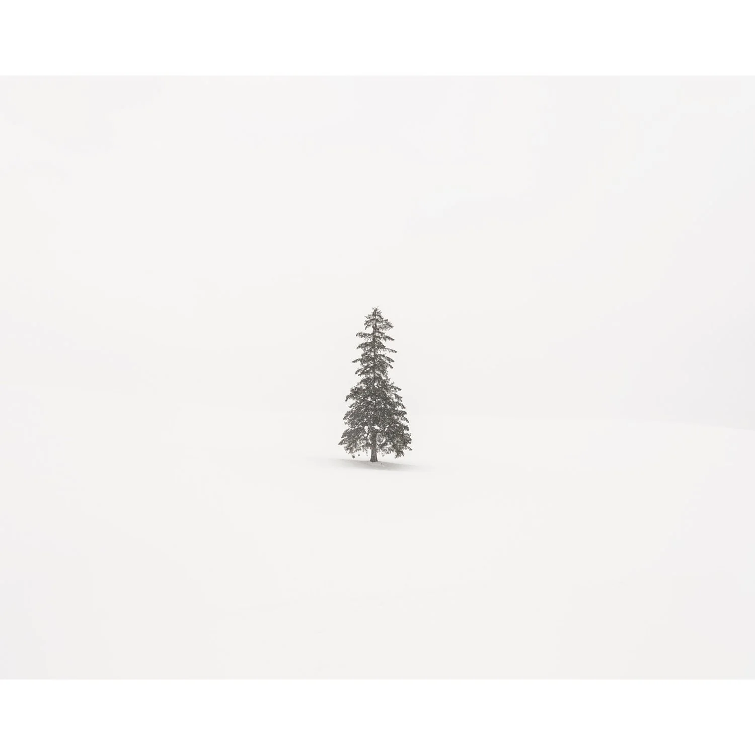 Uwe Langmann - Christmas Tree