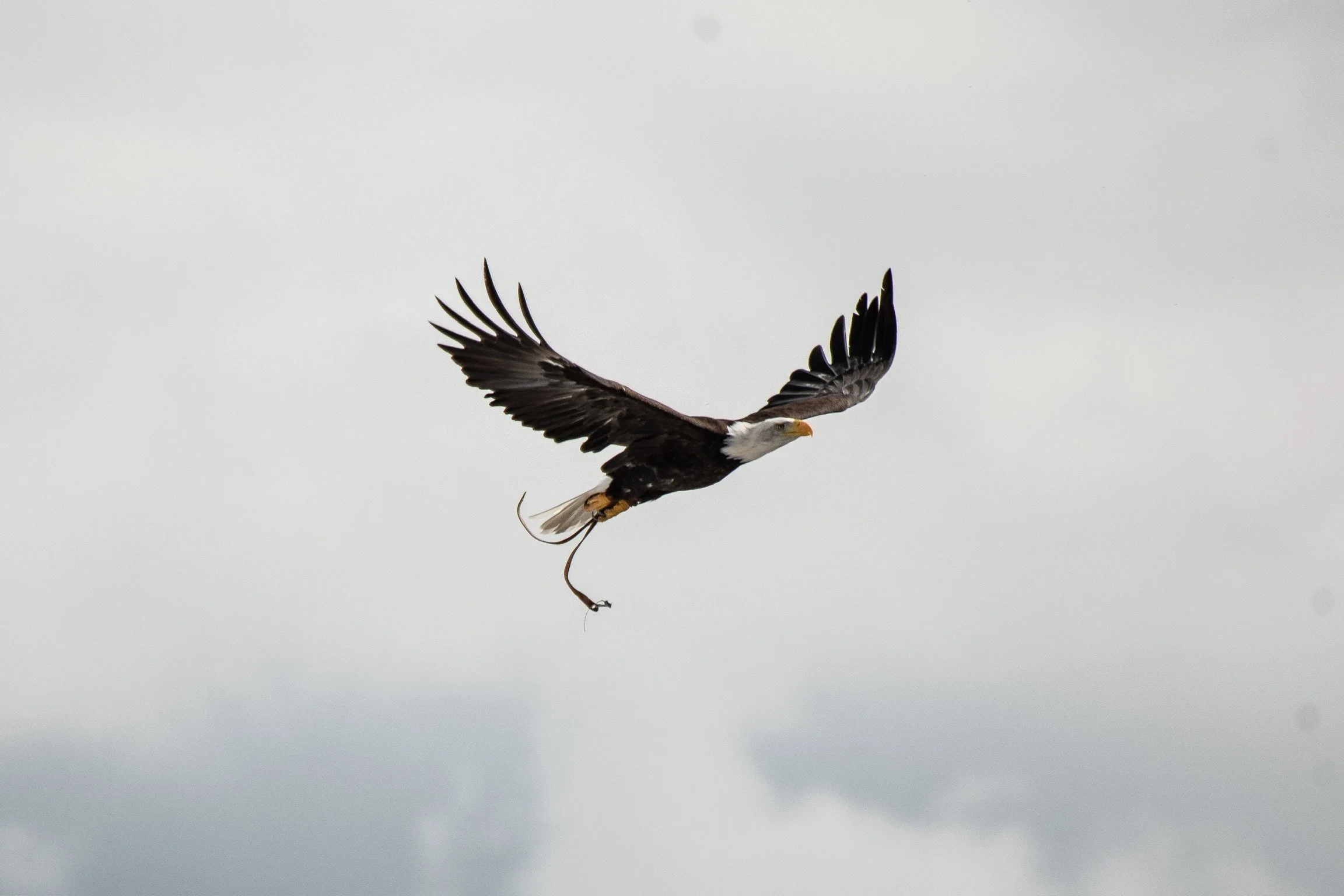 DSC_0975.JPG