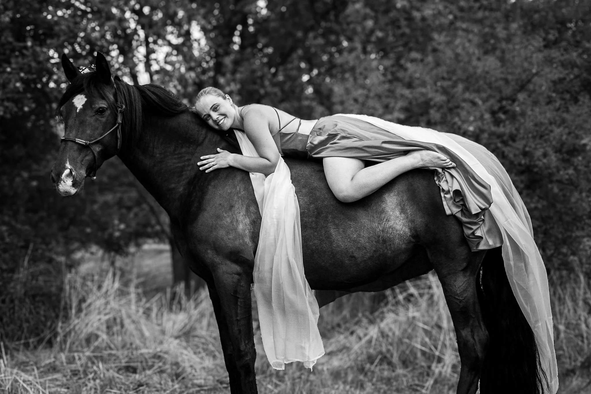 Equine Fotografie