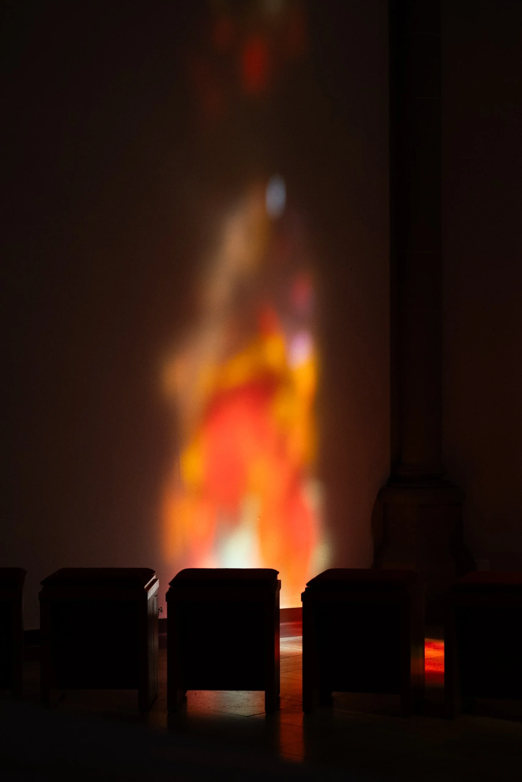 DSC_4035.JPG