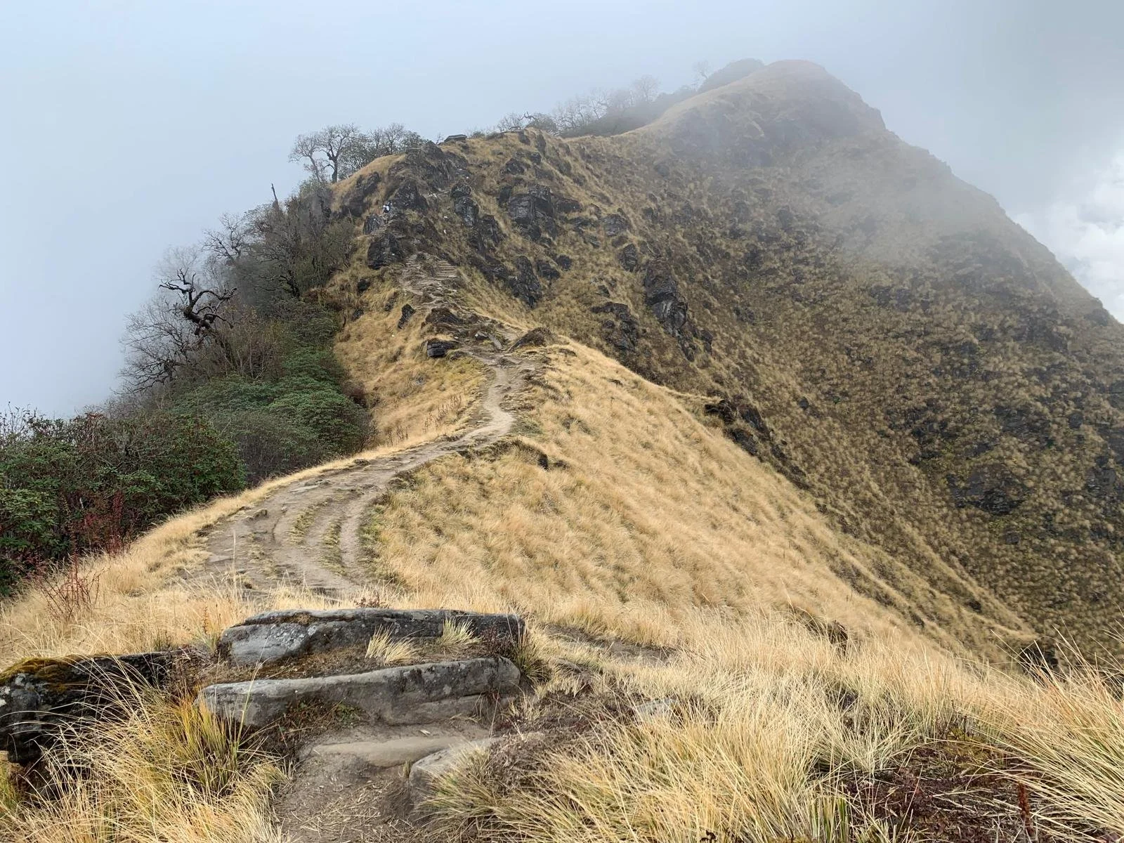 A foggy mountain trail winding up a steep hillside with dry grass and scattered rocks.