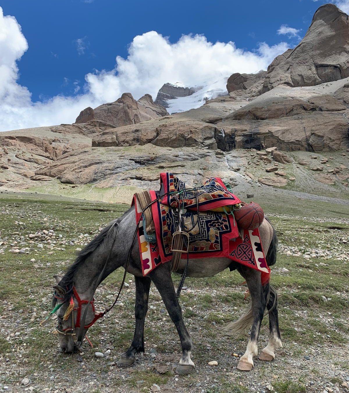 A gray horse with a decorated saddle grazing on a mountain landscape. The background features rocky mountains, some with snow, and a partly cloudy sky.