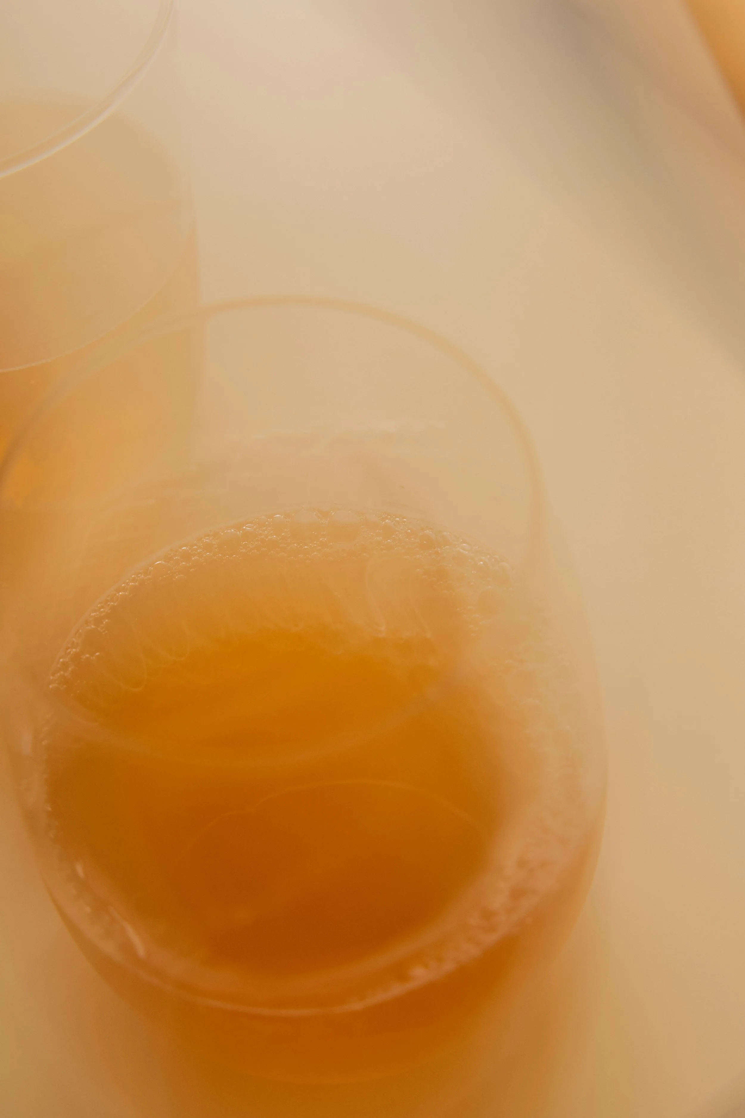 260826_kombucha 2.jpg