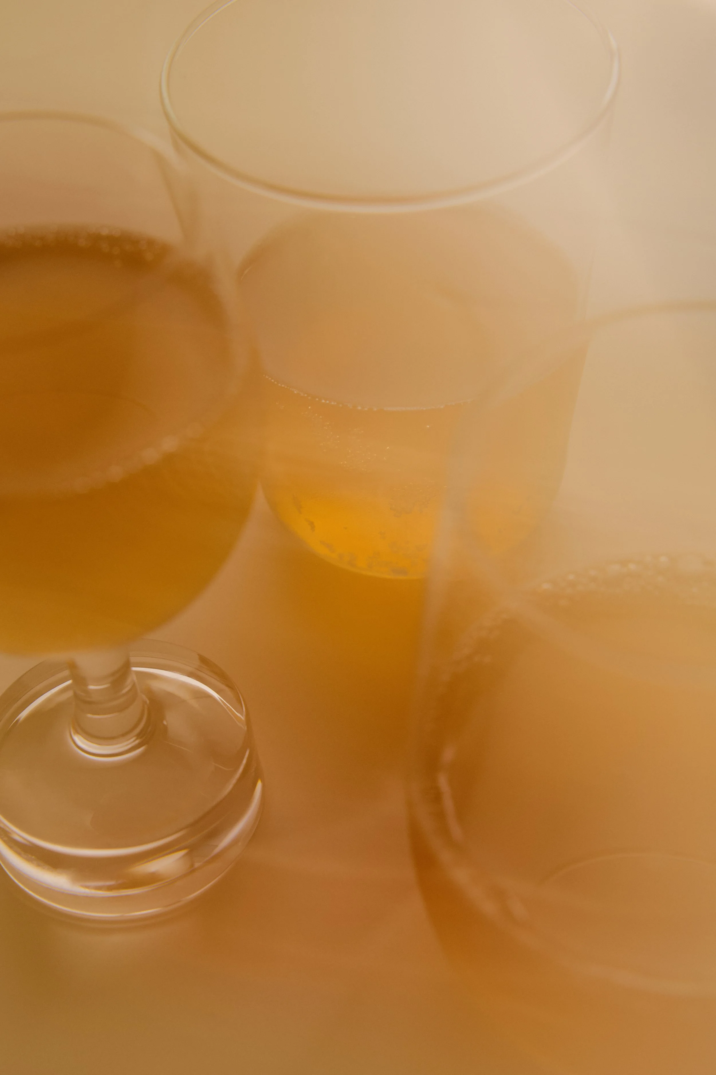 260826_kombucha 1.jpg