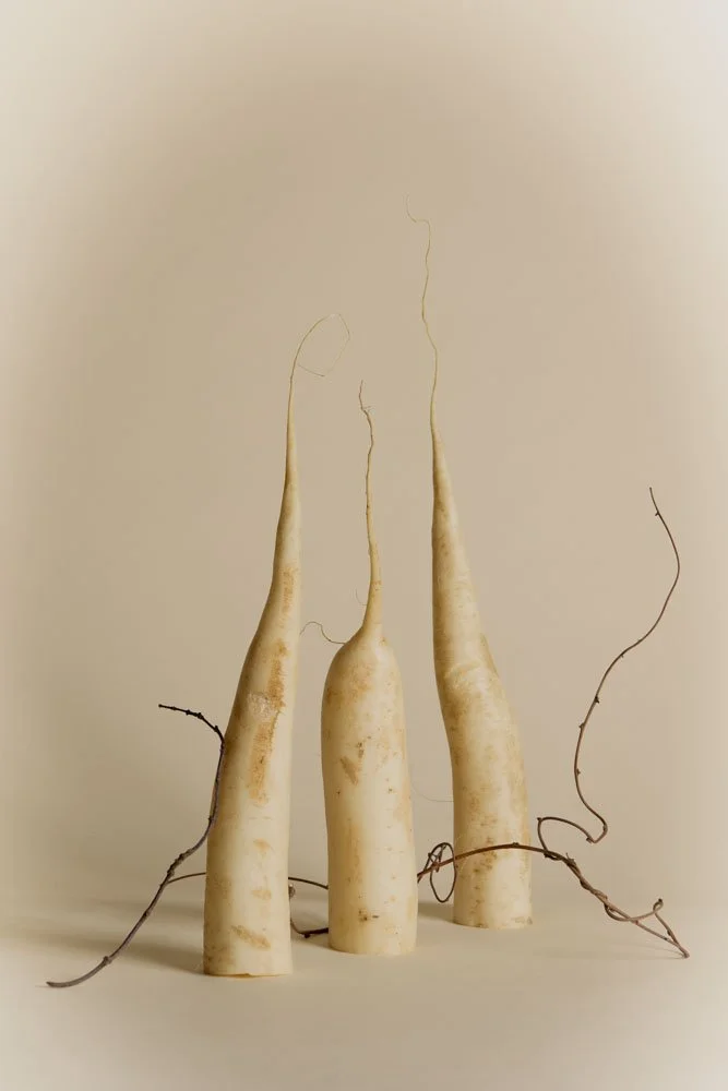 Carrara_Sofia_portfoliocommerciale_2024-25_bassaris9.jpg