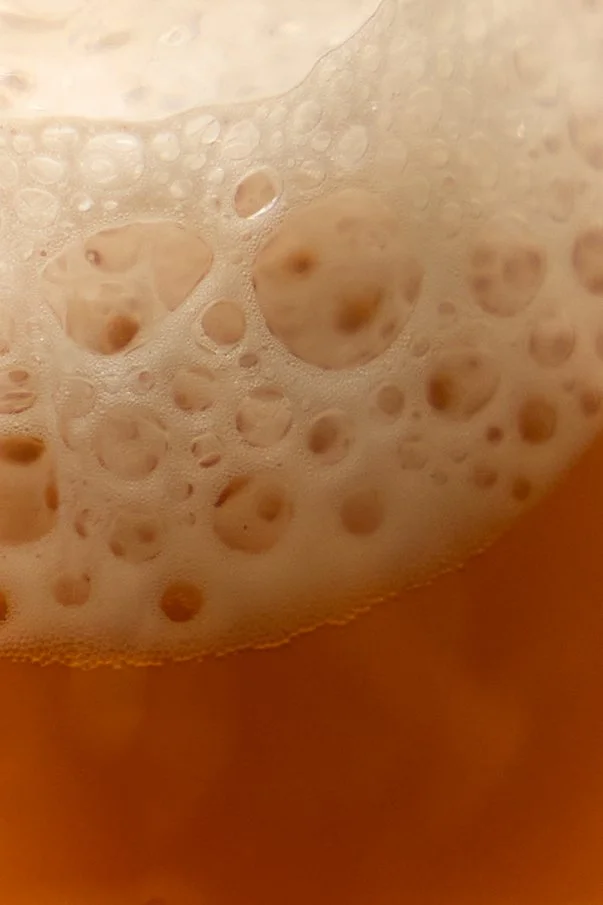 260826_kombucha 5.jpg