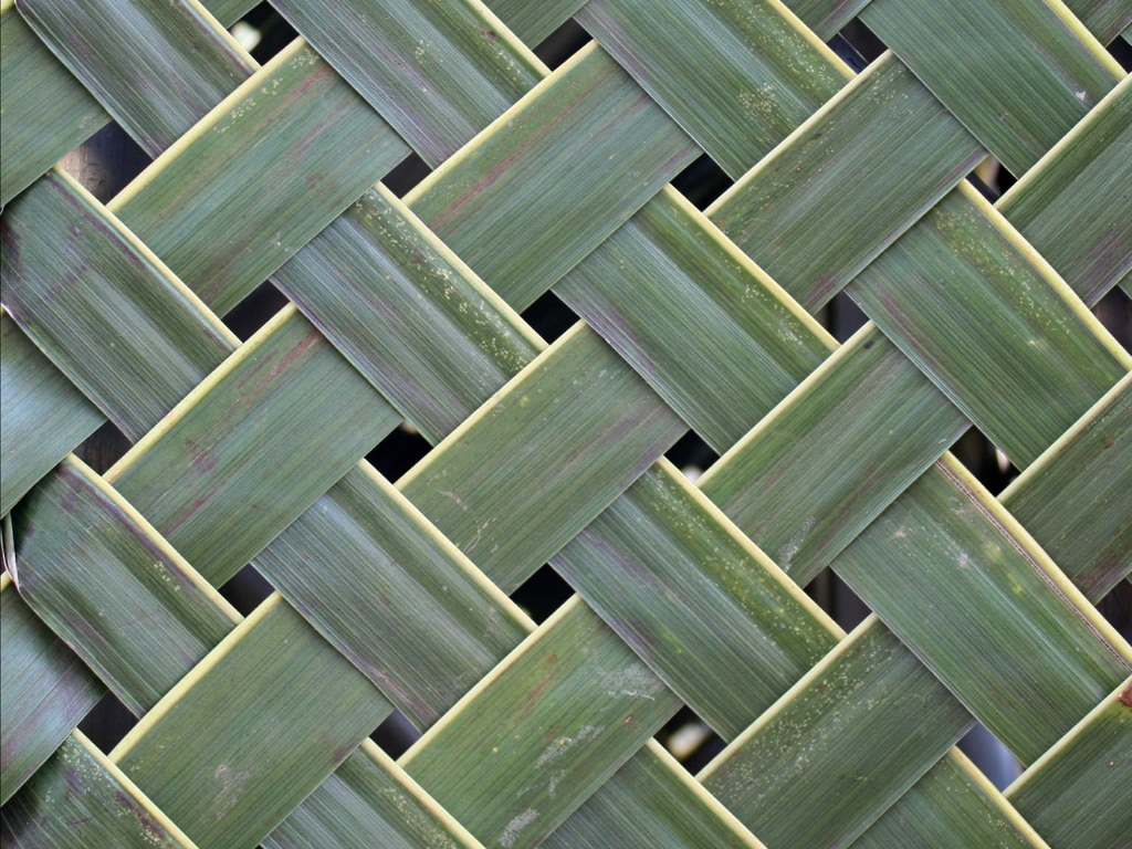 Close-up of green woven plant leaves, creating a basket-like pattern.