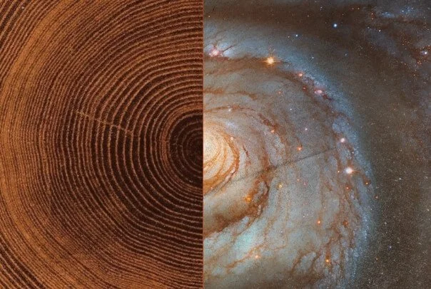 The Cosmic Pattern for Unique Genius