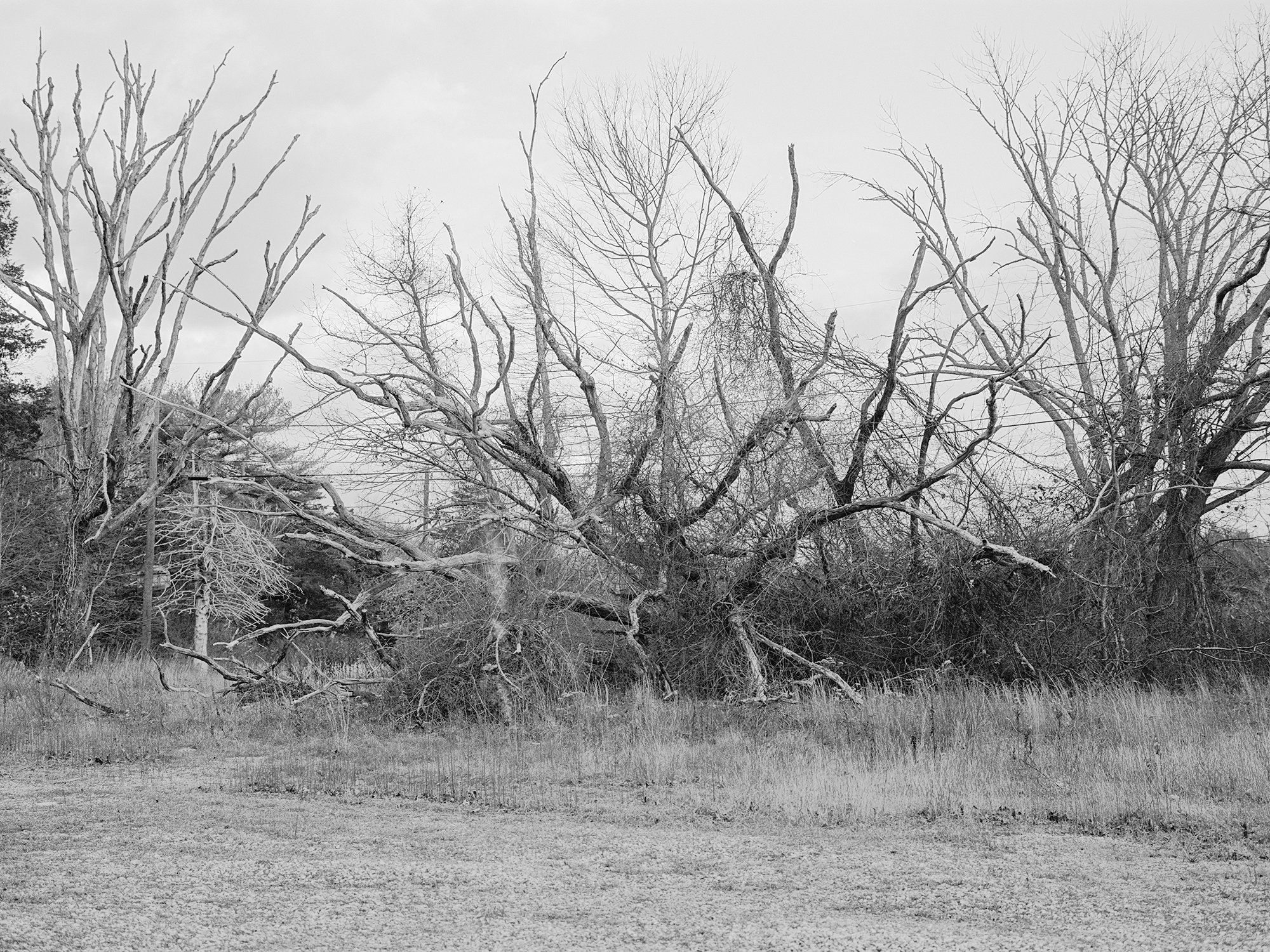 ri desert (3)-print1.jpg