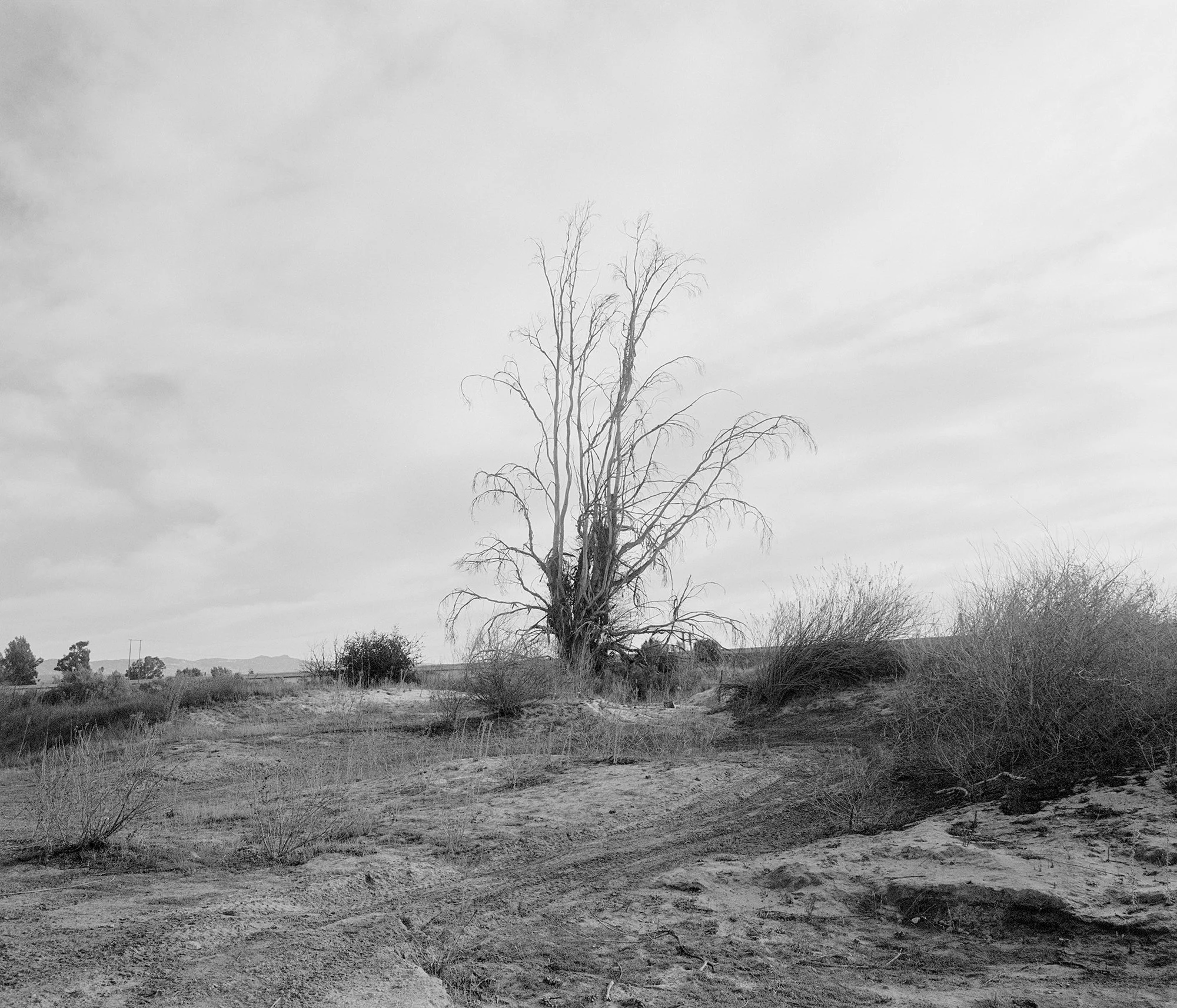 betweenends-2.jpg