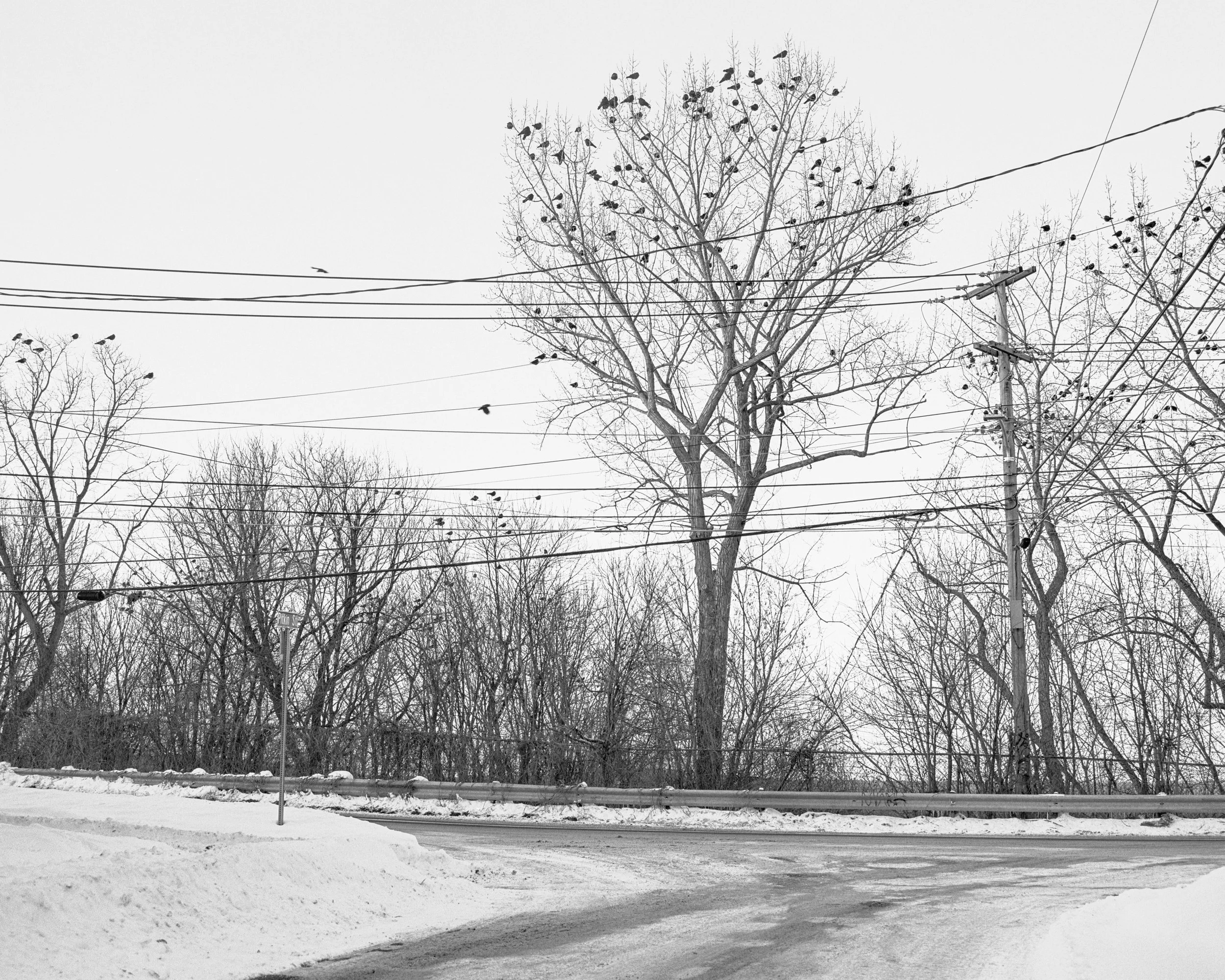Feb. 11 2026 (5)-1 - print 1.jpg