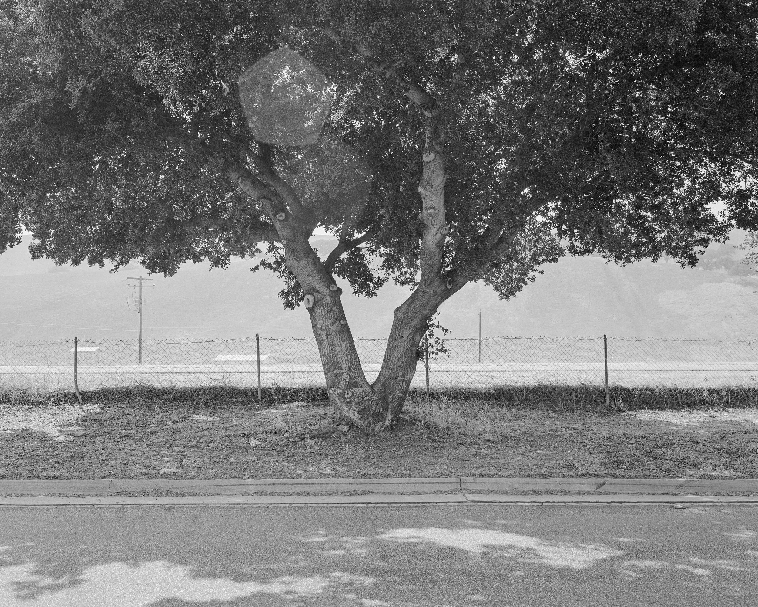 BESummer (8)-1- print 1-1.jpg