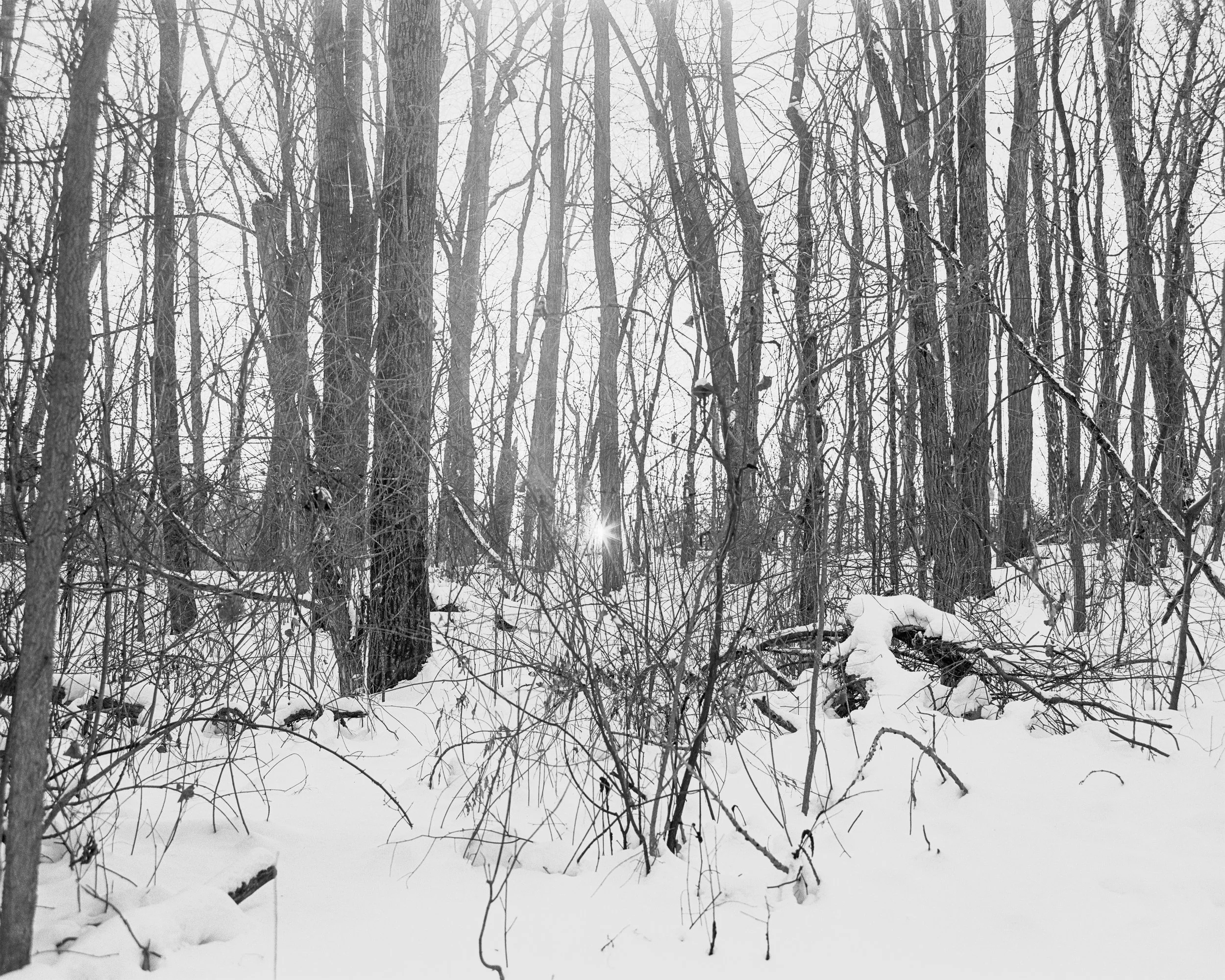 Feb. 11 2026 (4)-1 - print 1.jpg