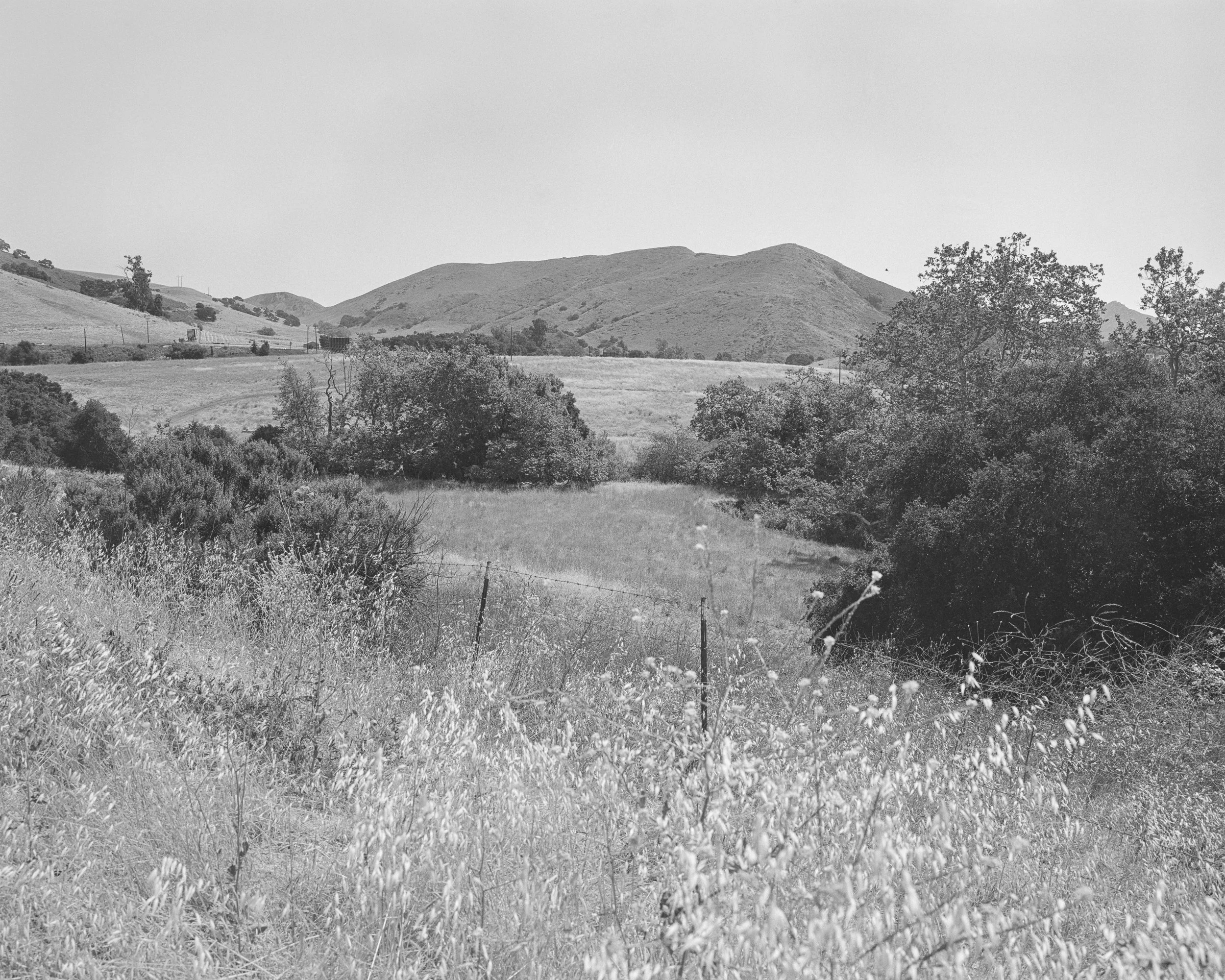 _DSF4851-1- print 1.jpg