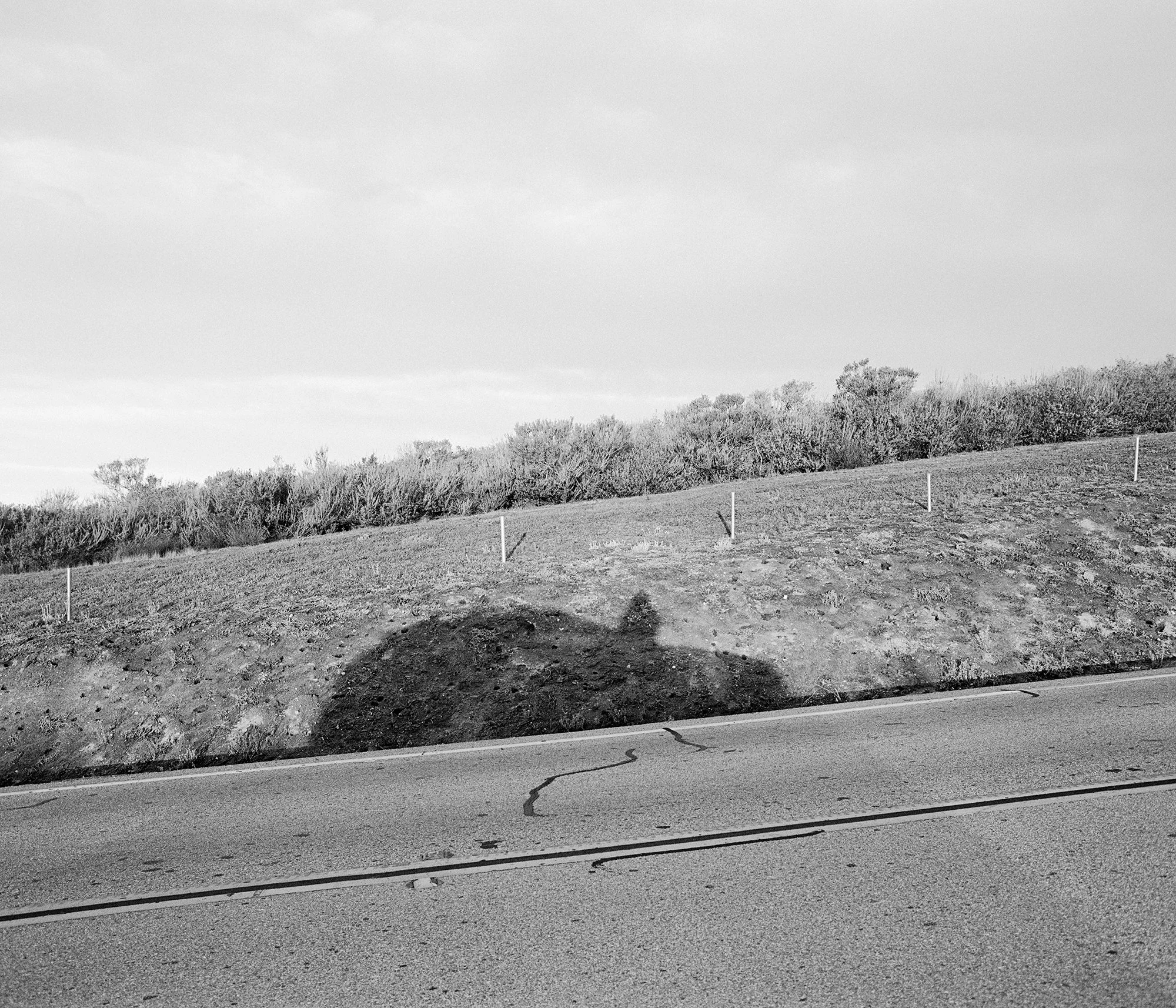 betweenends-1.jpg