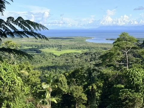 Tropical landscape with lush green trees, a river, and the ocean in the distance under a partly cloudy sky.
