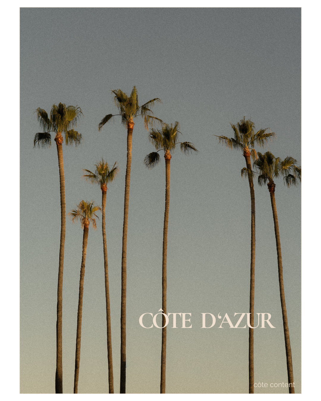 Several tall palm trees against a clear sky with a gradient from light to dark, with the words 'CÔTE D'AZUR' in large font at the bottom.