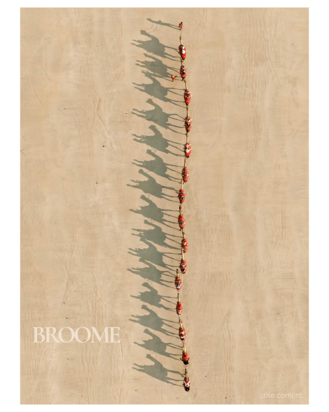 An aerial view of a group of camels walking in single file across a sandy beach, casting elongated shadows.