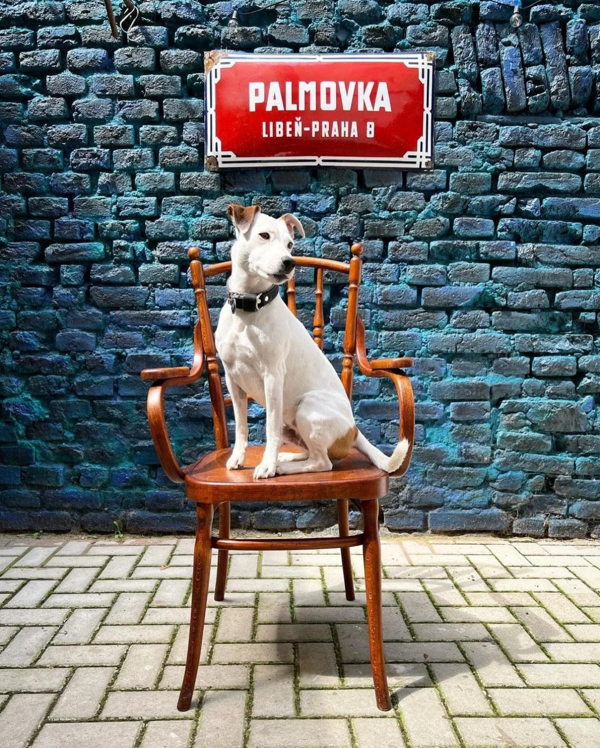 thonet-bentwood-chair-sedime-stylove-prague.jpeg