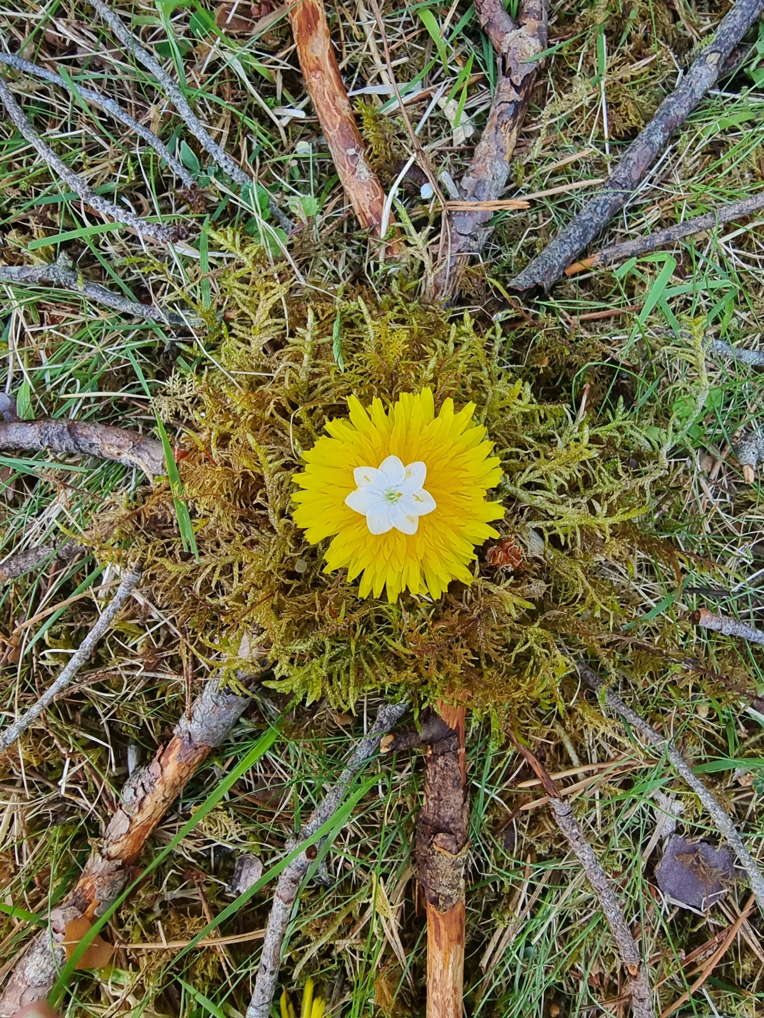 20240529_114252.jpg