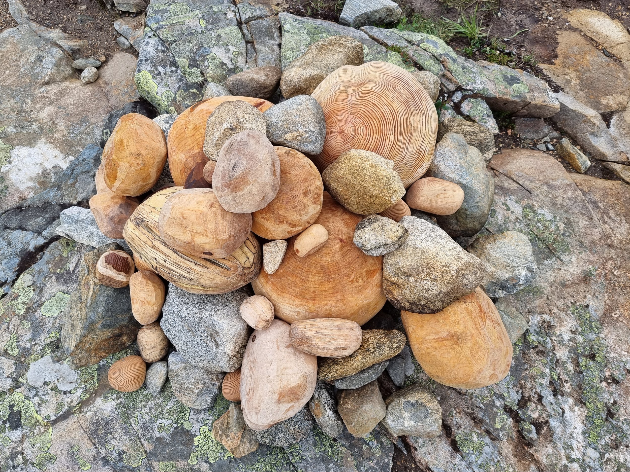 20220706_094059.jpg