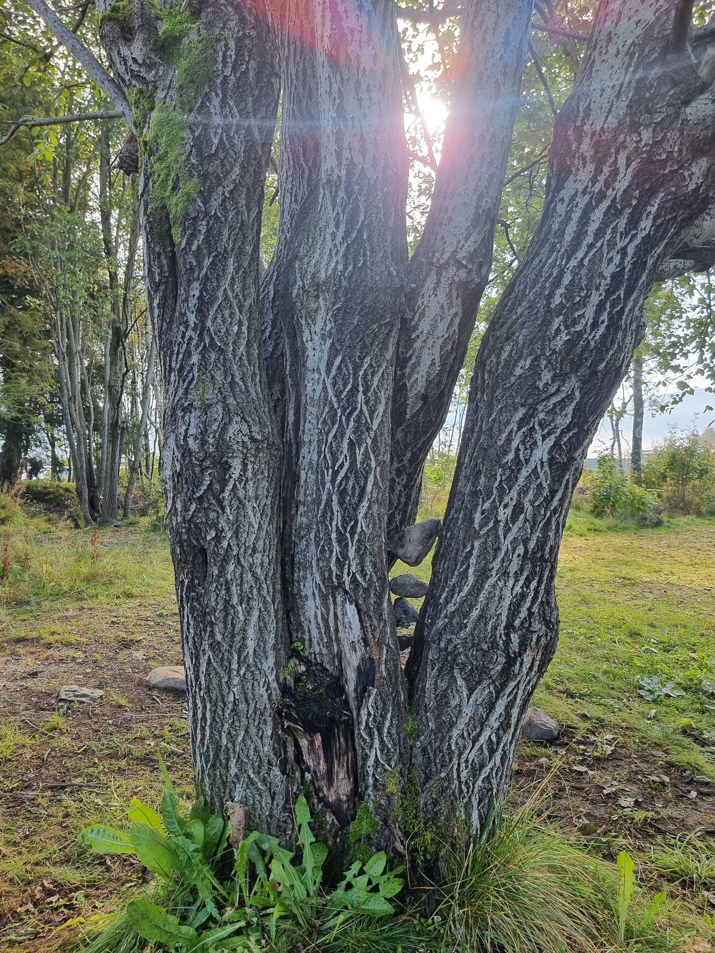 20240906_104509.jpg