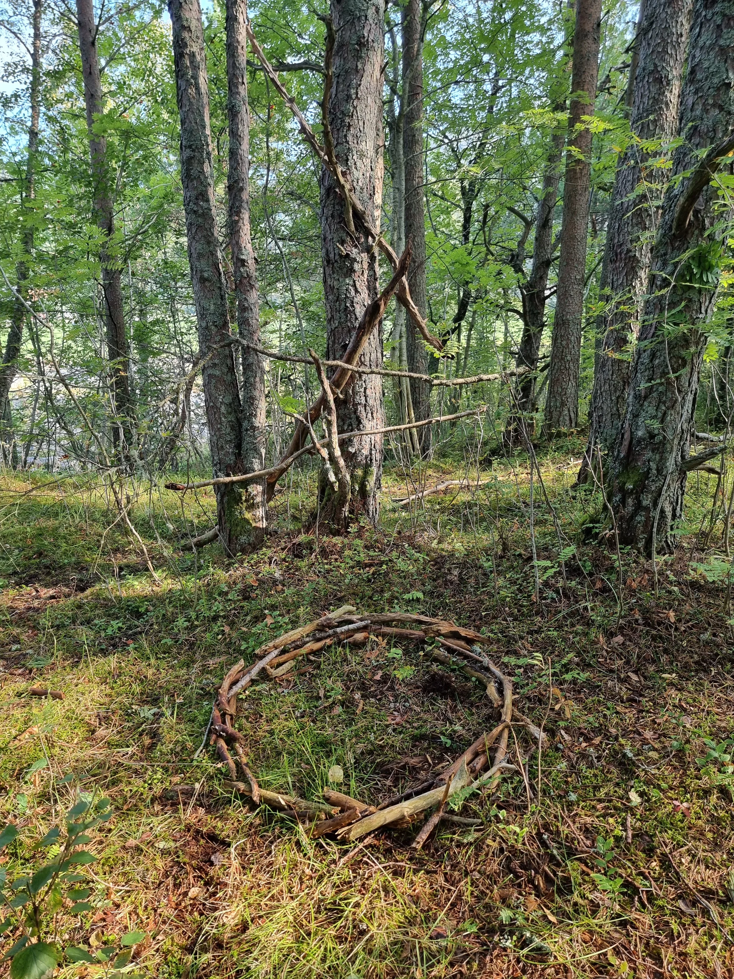 20240827_102104.jpg
