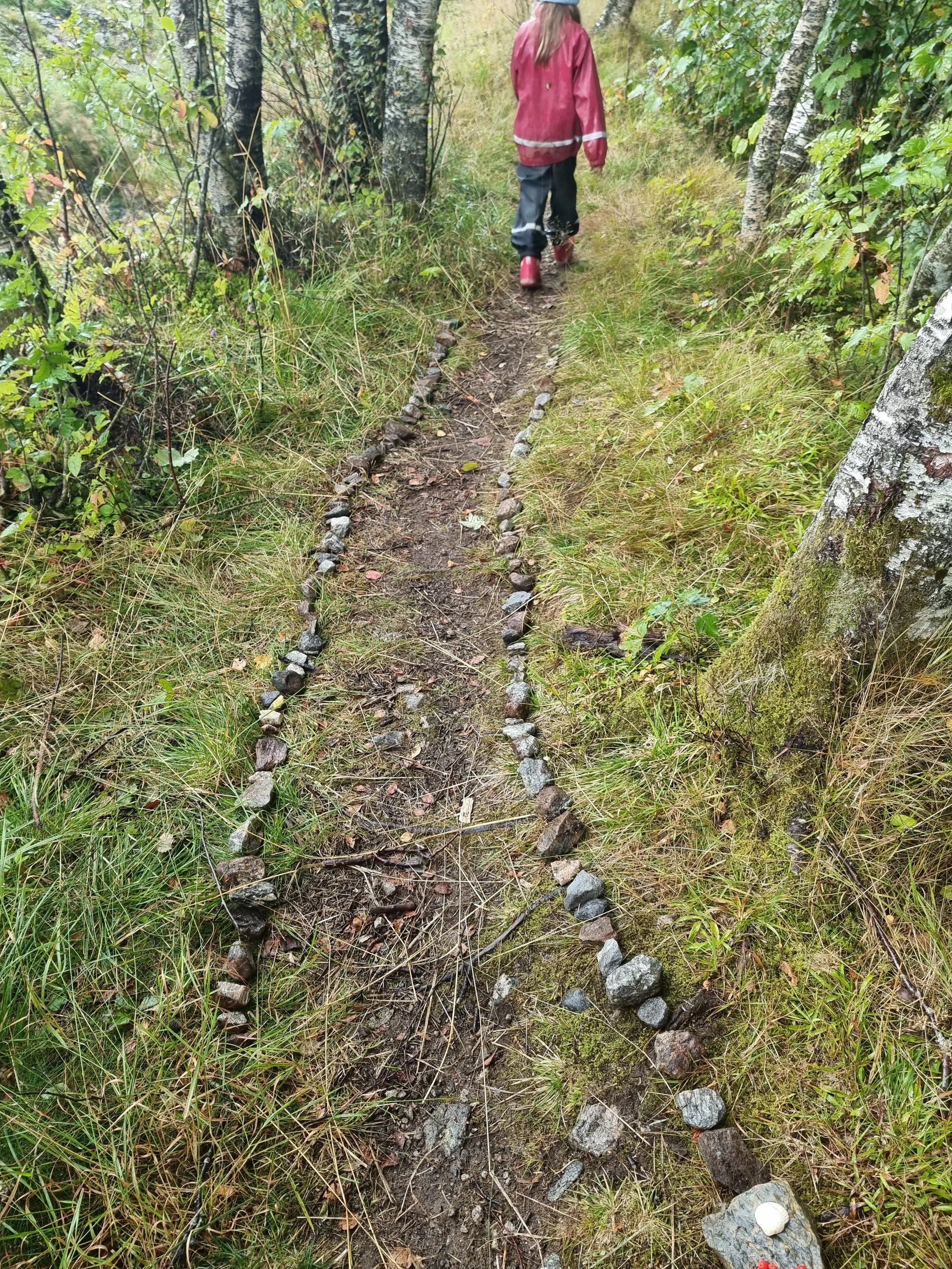 20240903_101936.jpg