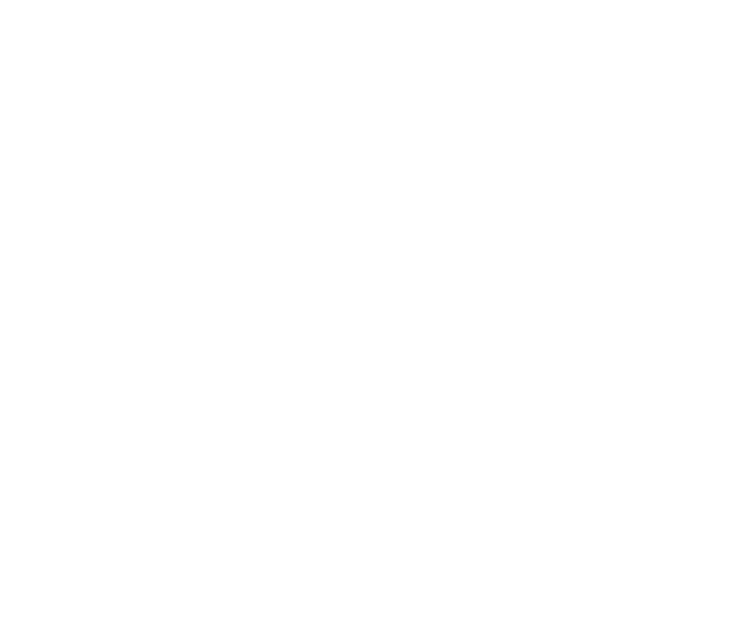 TL Projects